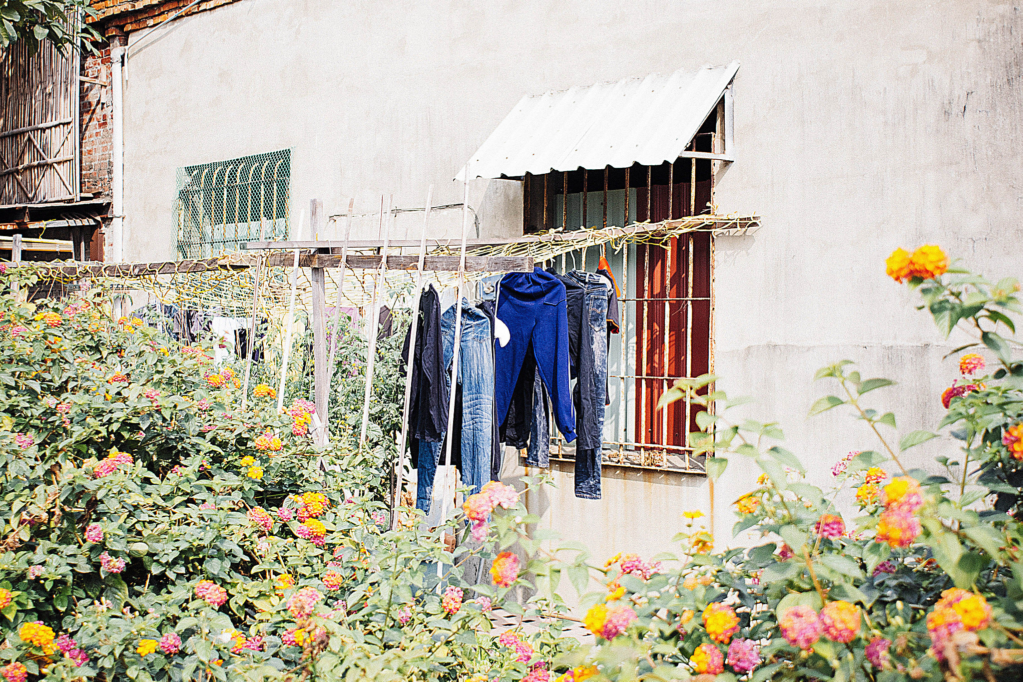 Nikon D7100 + AF Nikkor 24mm f/2.8 sample photo. Laundry. pier 2 art centre, kaohsiung. photography