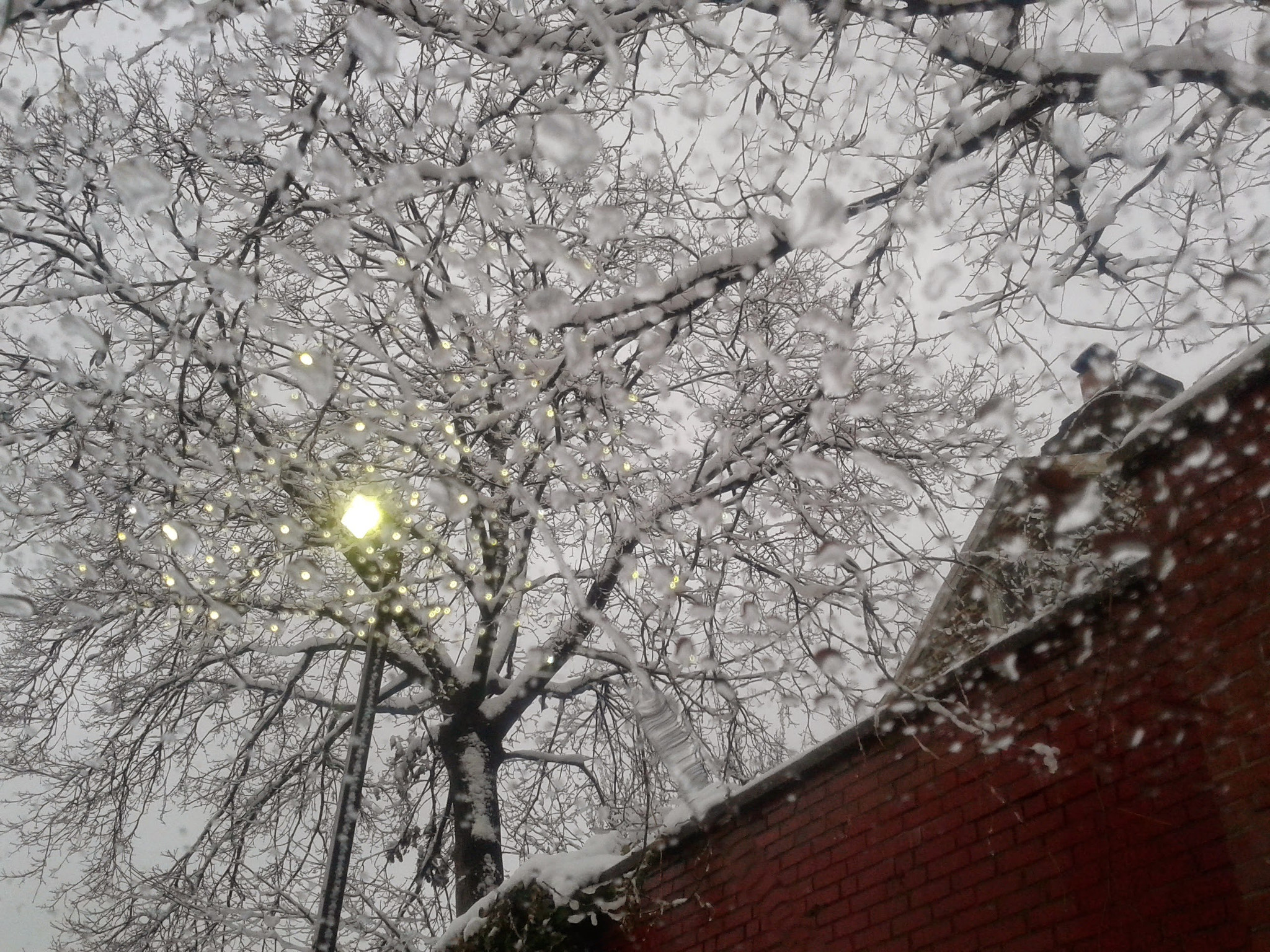 Samsung Galaxy Exhibit sample photo. Winter in philadelphia photography