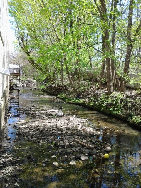 Samsung Galaxy Rush sample photo. Low tide in west chester, pennsylvania photography