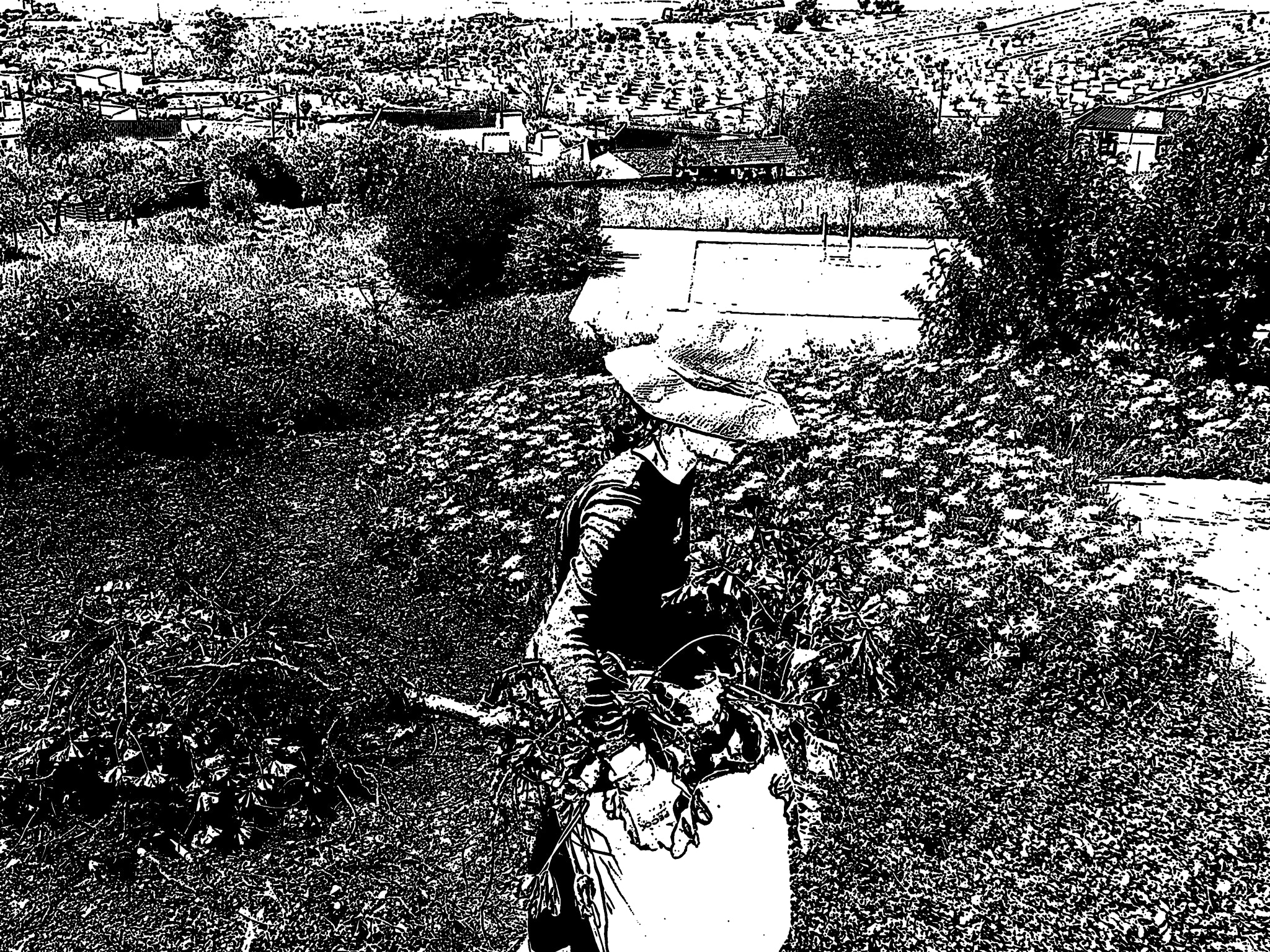 Olympus PEN E-PL3 sample photo. Sta susana photography