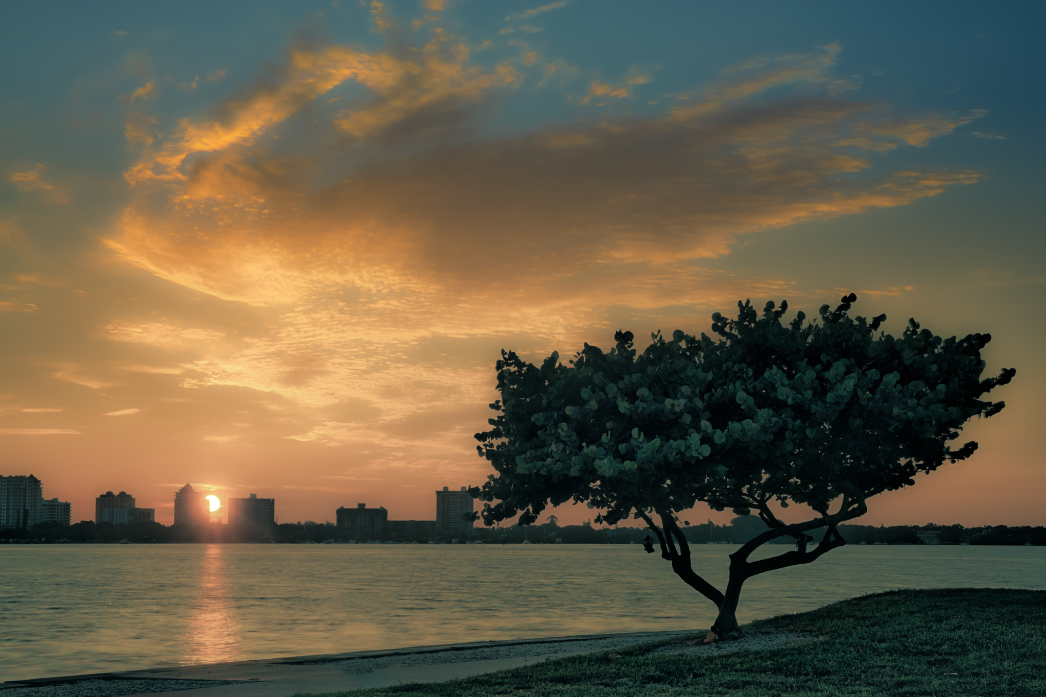 Sony a7R + Sony Vario Tessar T* FE 24-70mm F4 ZA OSS sample photo. Sarasota sunrise photography