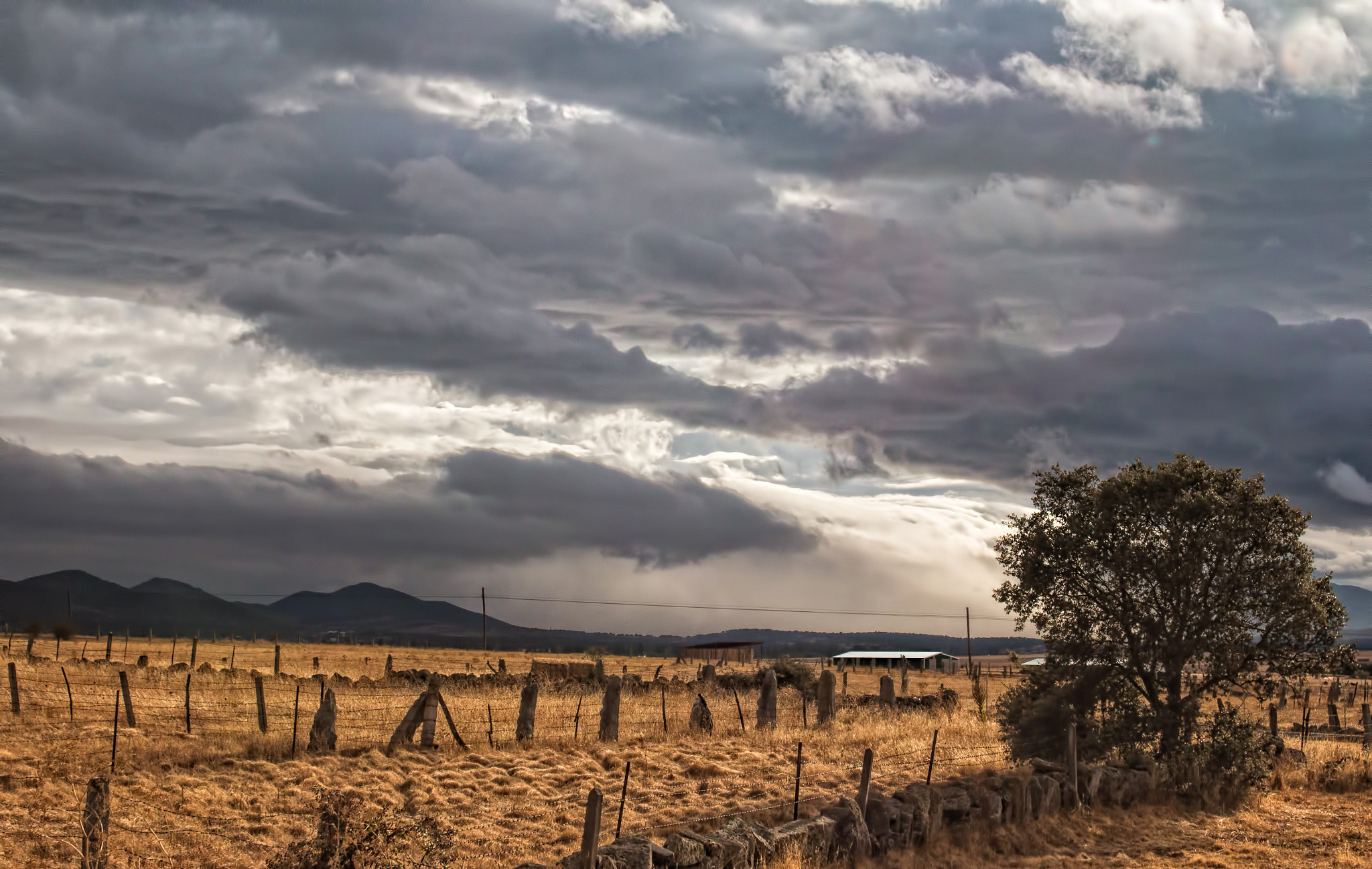 Sigma 18-50mm F2.8-4.5 DC OS HSM sample photo. Is going to rain photography