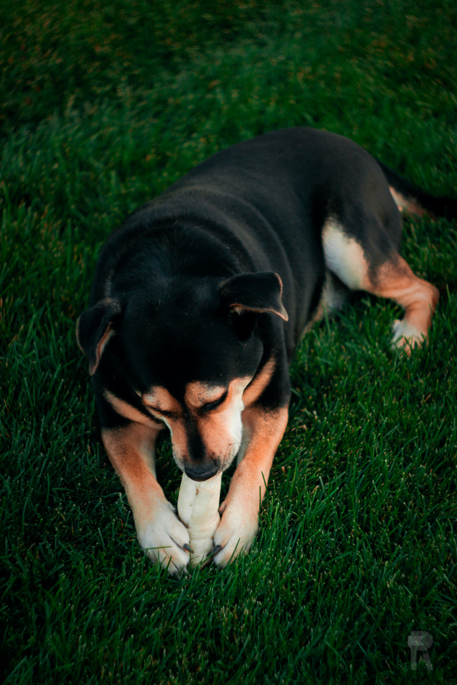 Canon EF 35-80mm f/4-5.6 sample photo. Enjoying life photography