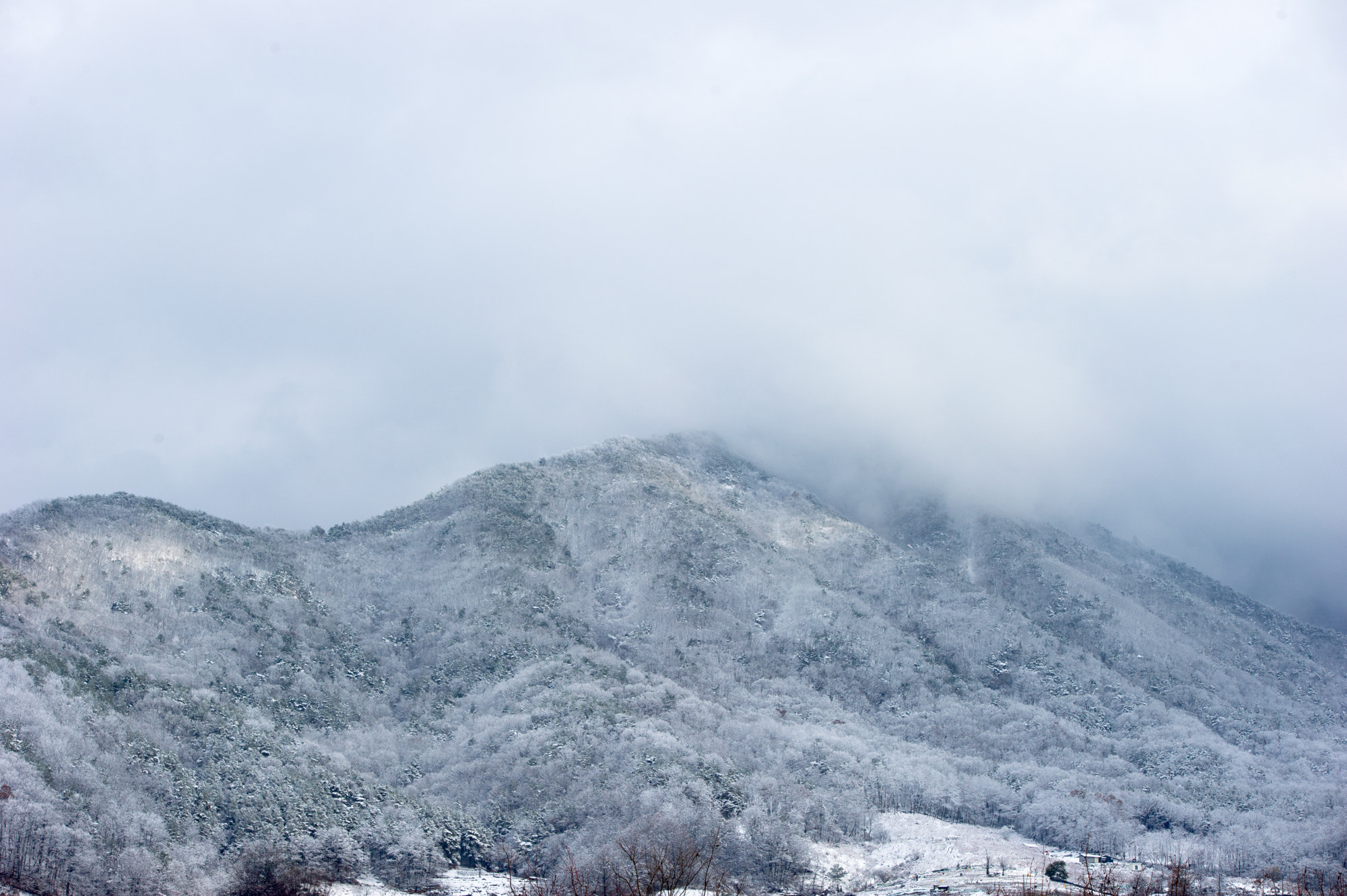 Sigma 70-200mm F2.8 EX DG OS HSM sample photo. Snowy, but feel cozy photography