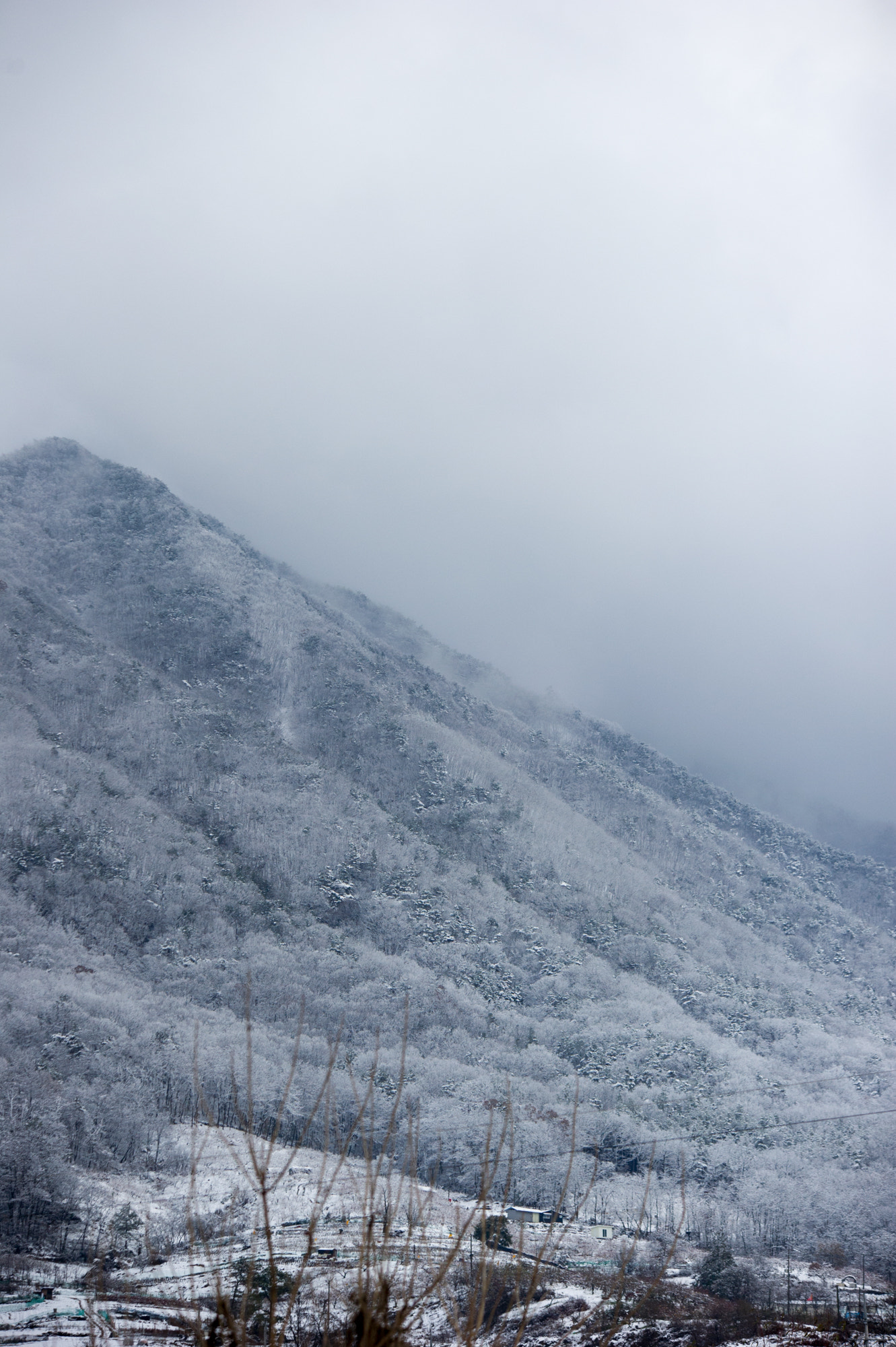 Sigma 70-200mm F2.8 EX DG OS HSM sample photo. Snowy, but feel cozy photography