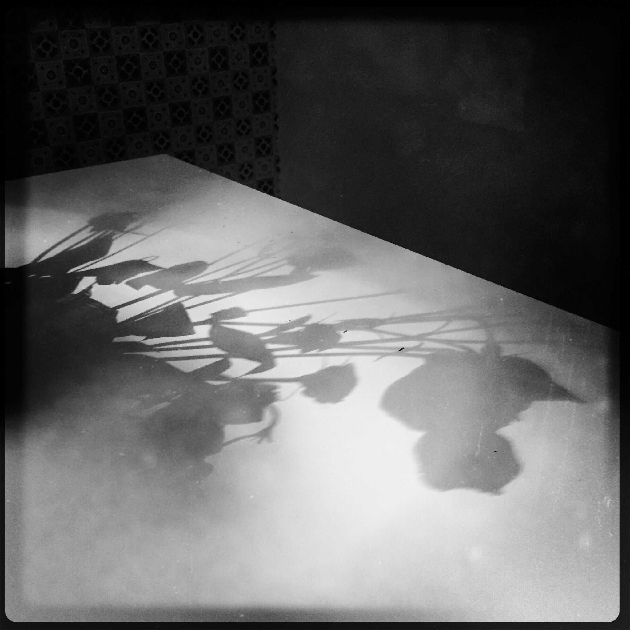 Hipstamatic 304 sample photo. __shades of grey__ photography