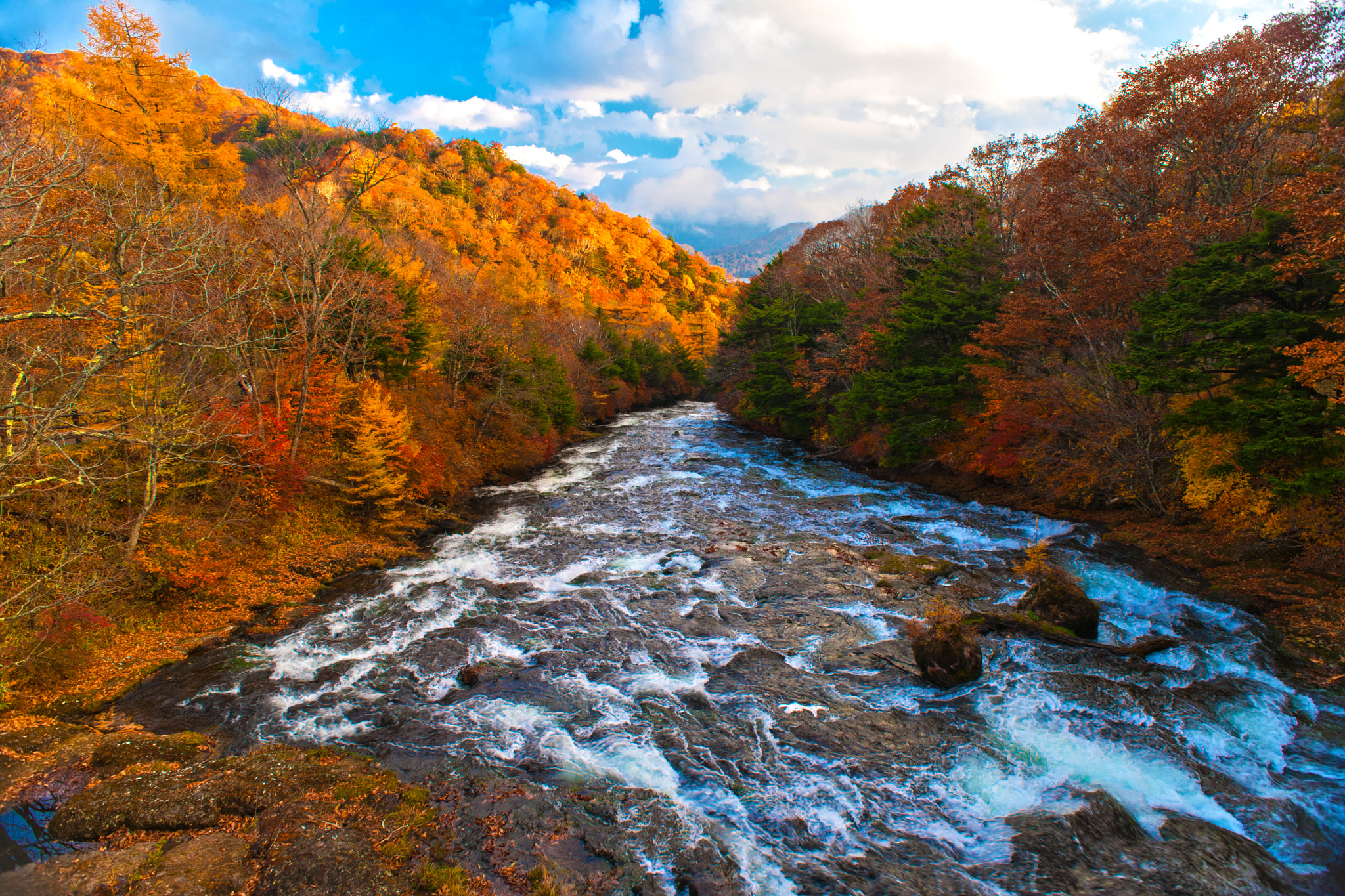 Nikon D3X + Nikon AF Nikkor 20mm F2.8D sample photo. Autumn colors photography