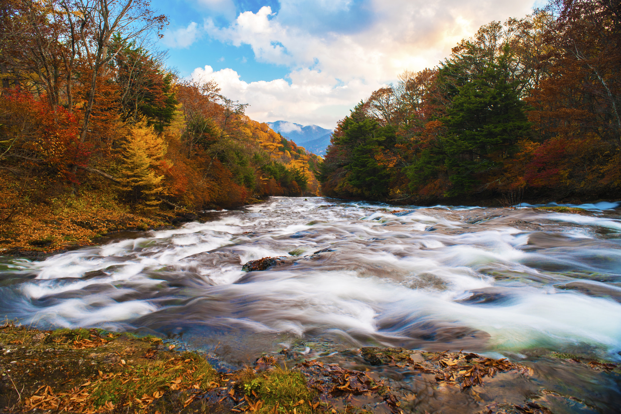 Nikon D3X + Nikon AF Nikkor 20mm F2.8D sample photo. Autumn colors photography