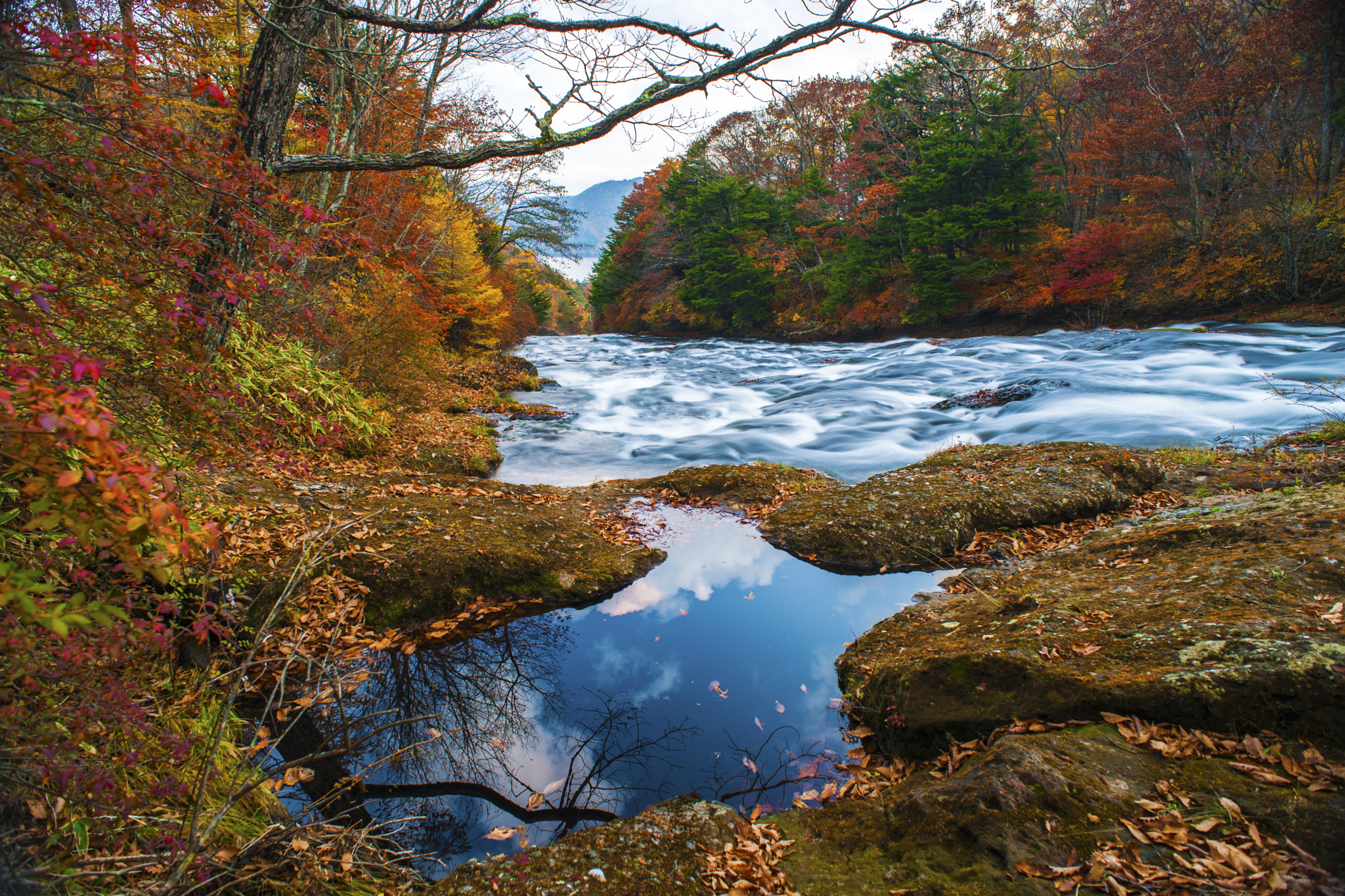 Nikon D3X + Nikon AF Nikkor 20mm F2.8D sample photo. Autumn colors photography