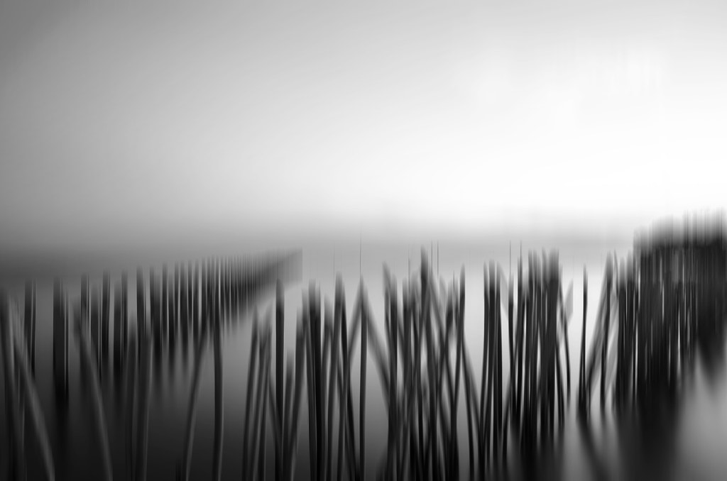Abstract Art Black and White Shadow by Platoo Fotography on 500px.com