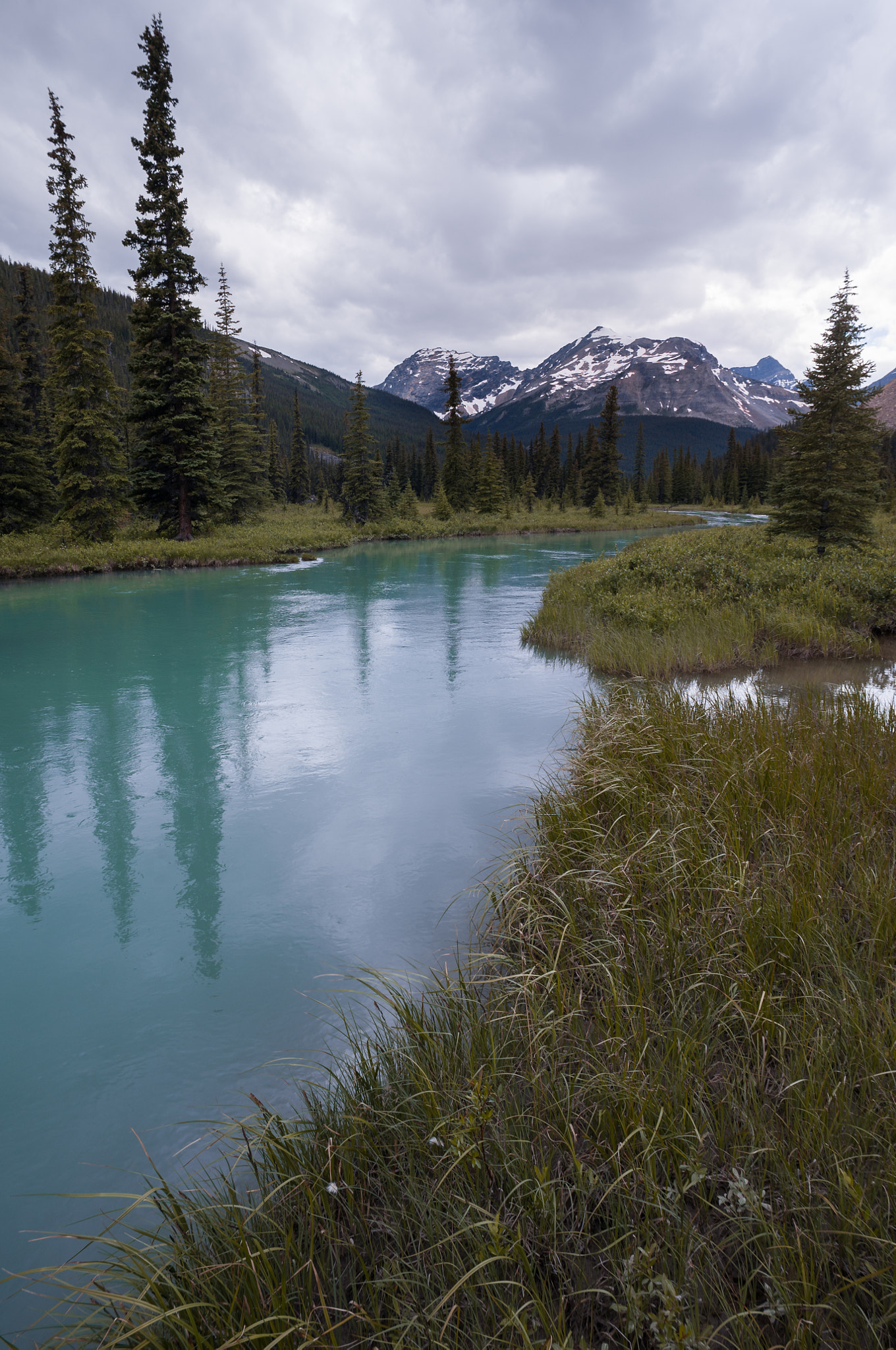 Nikon D700 + AF Nikkor 20mm f/2.8 sample photo. Tonquin valley, jasper photography