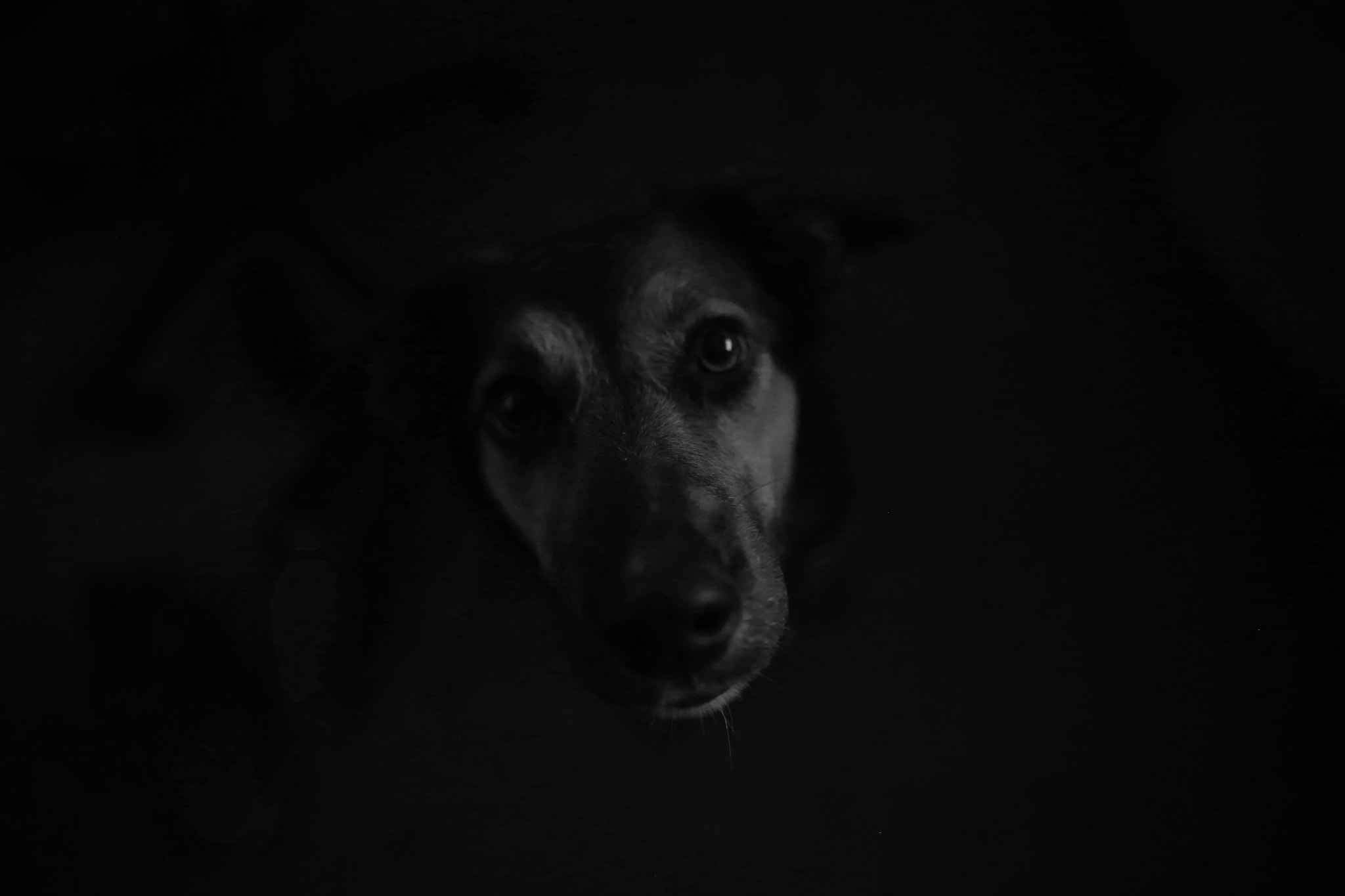 Sigma 24mm f/1.8 DG Macro EX sample photo. Bentley photography