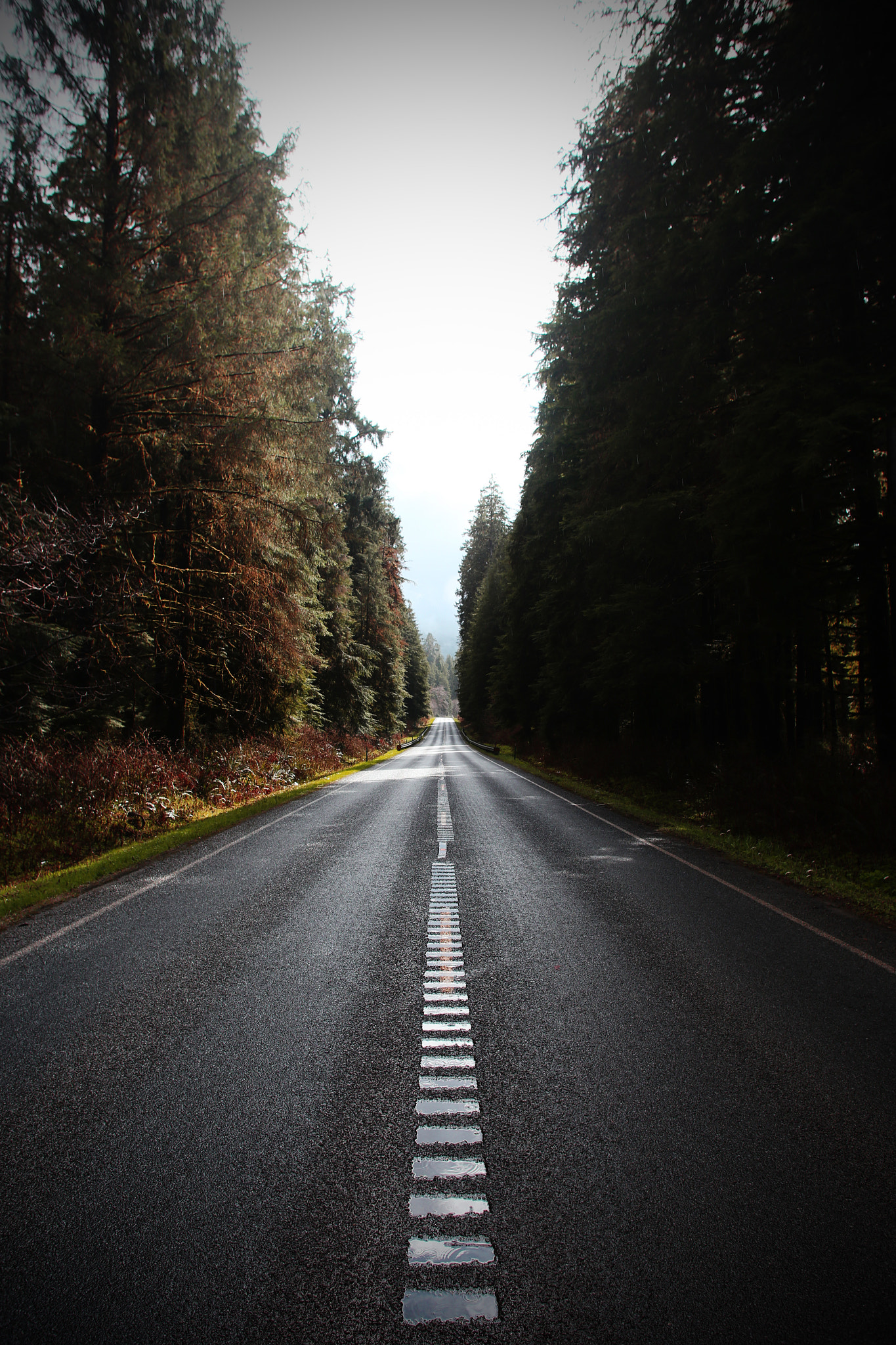 Sigma 24mm f/1.8 DG Macro EX sample photo. The long road photography