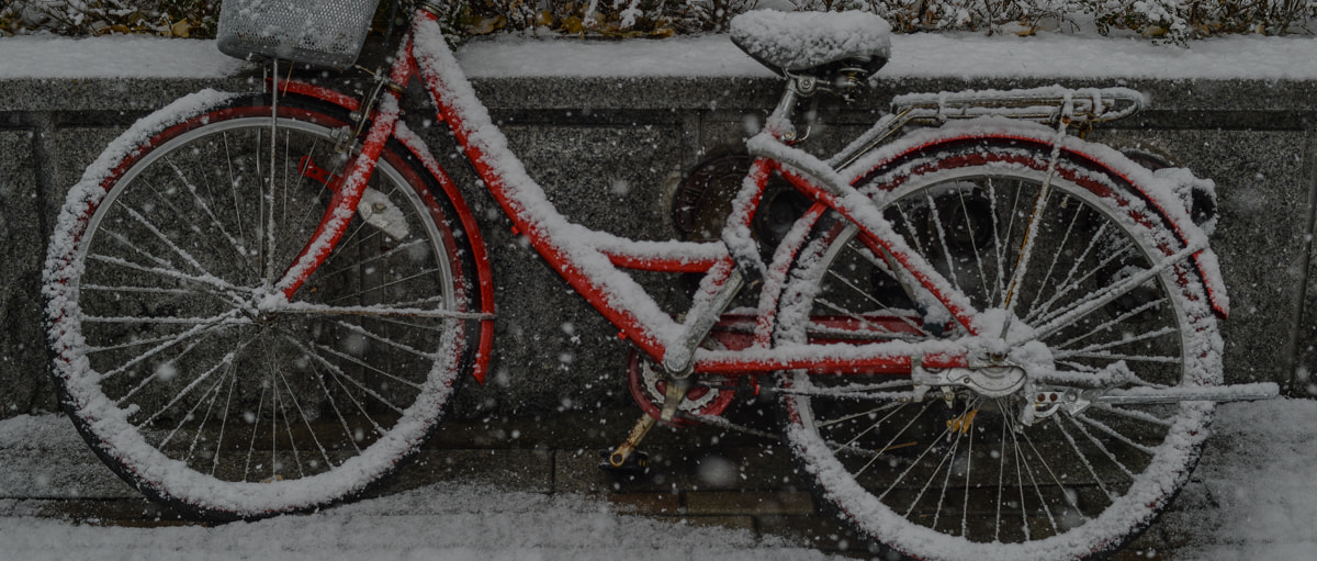 ZEISS Planar T* 50mm F1.4 sample photo. Snow photography