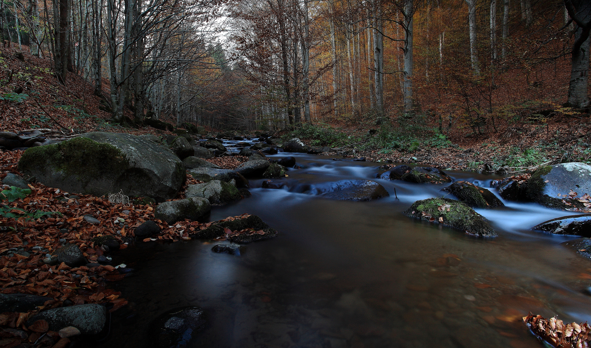 Canon EF 17-40mm F4L USM sample photo. Lori photography