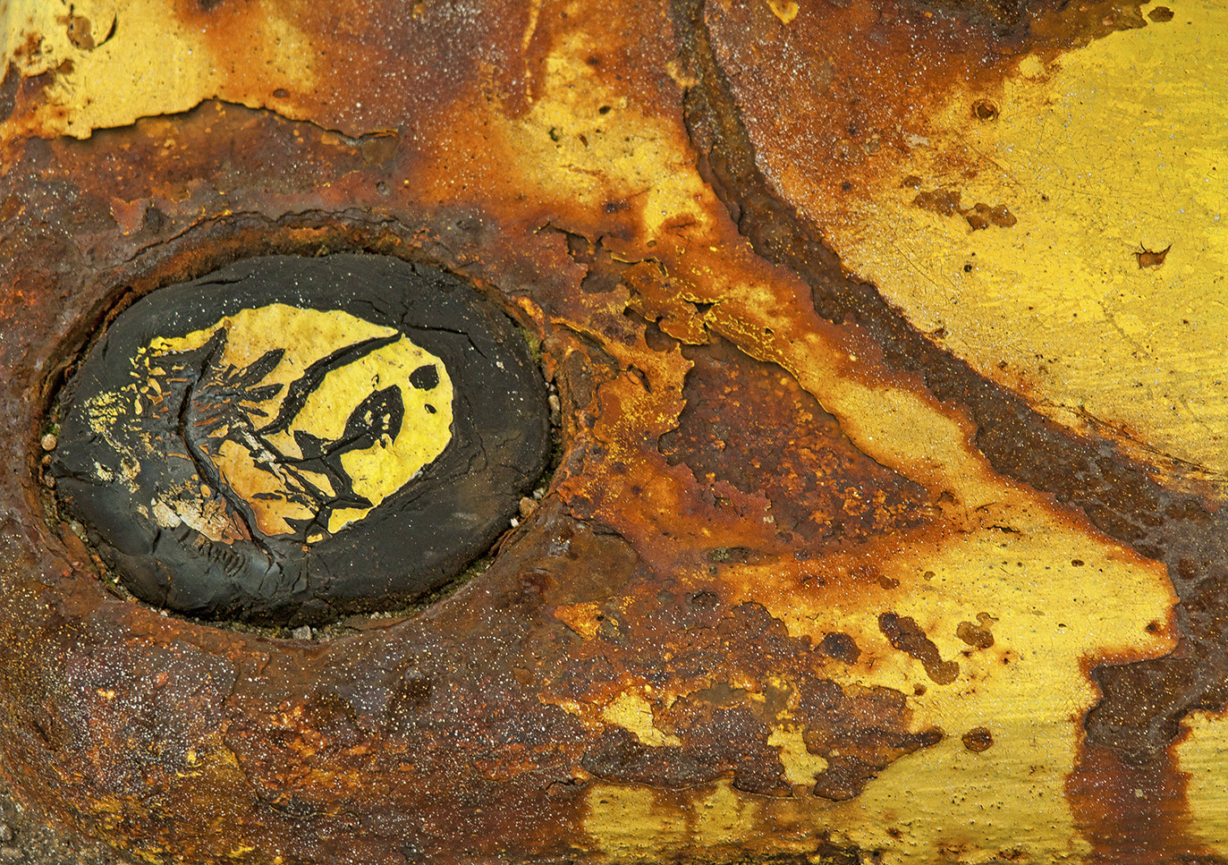 Canon EF 35-105mm f/4.5-5.6 sample photo. Rusty photography
