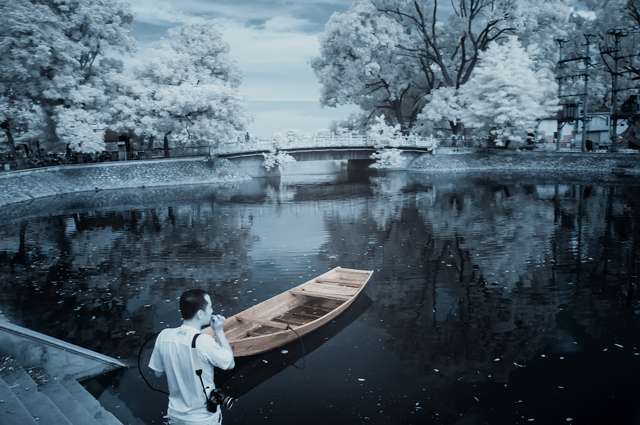 Nikon D70 sample photo. Felling (ir) photography