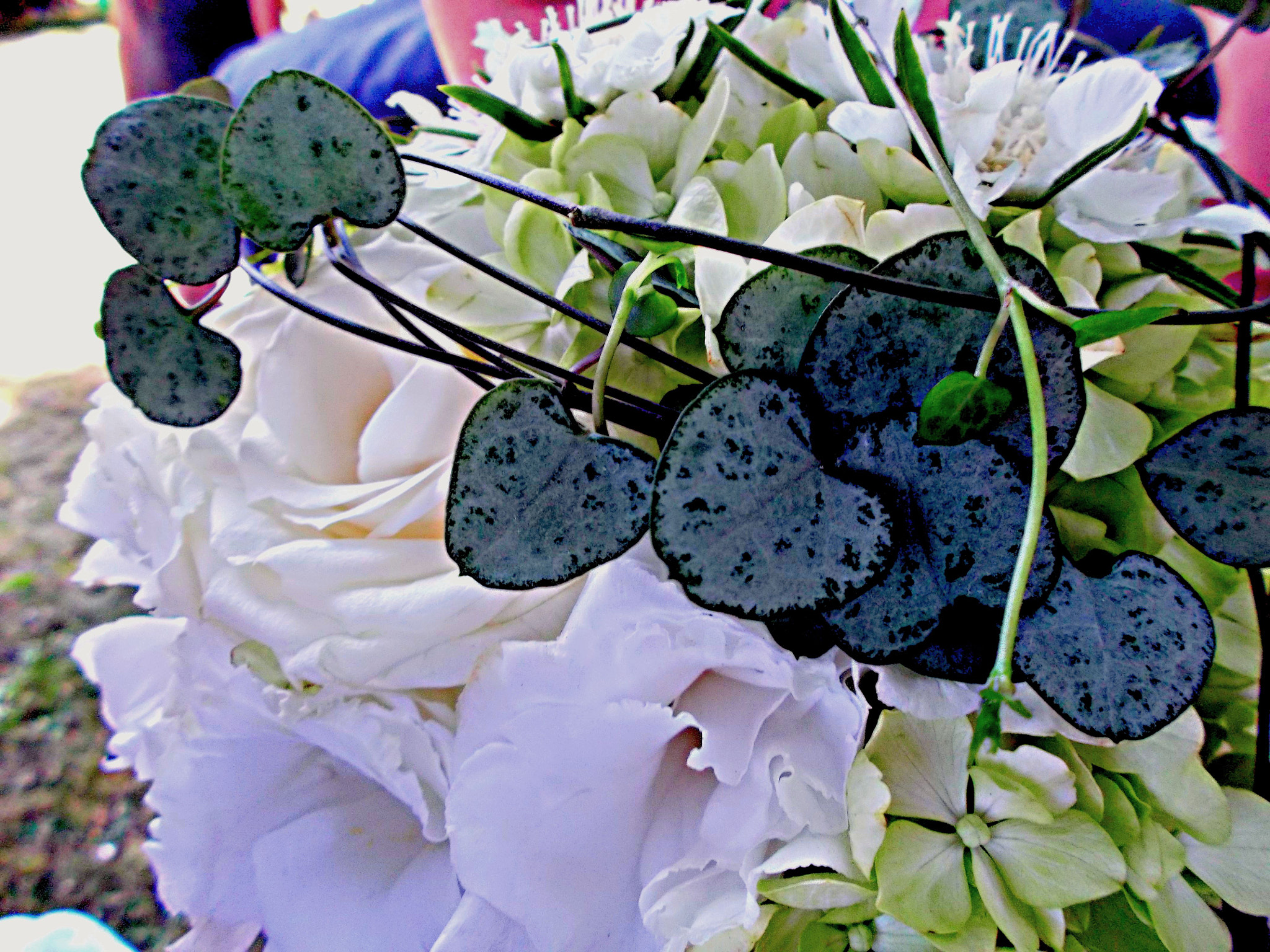 Fujifilm FinePix JX500 sample photo. Wedding flowers photography