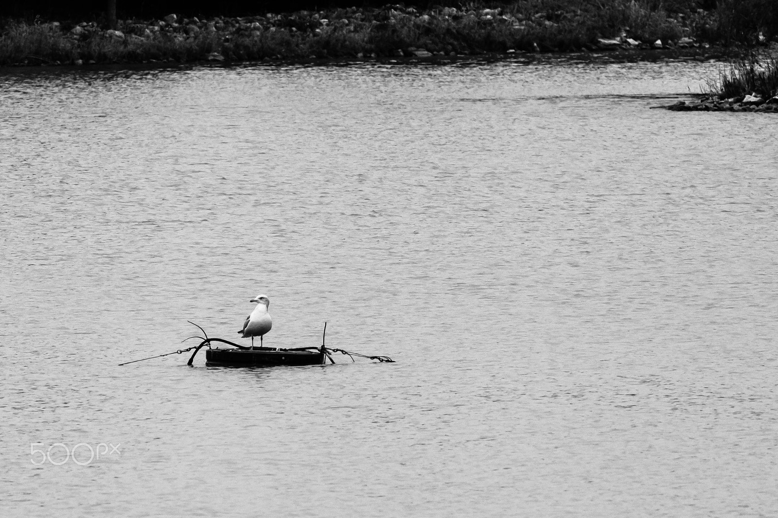 Canon EF 70-200mm F4L USM sample photo. A private island photography