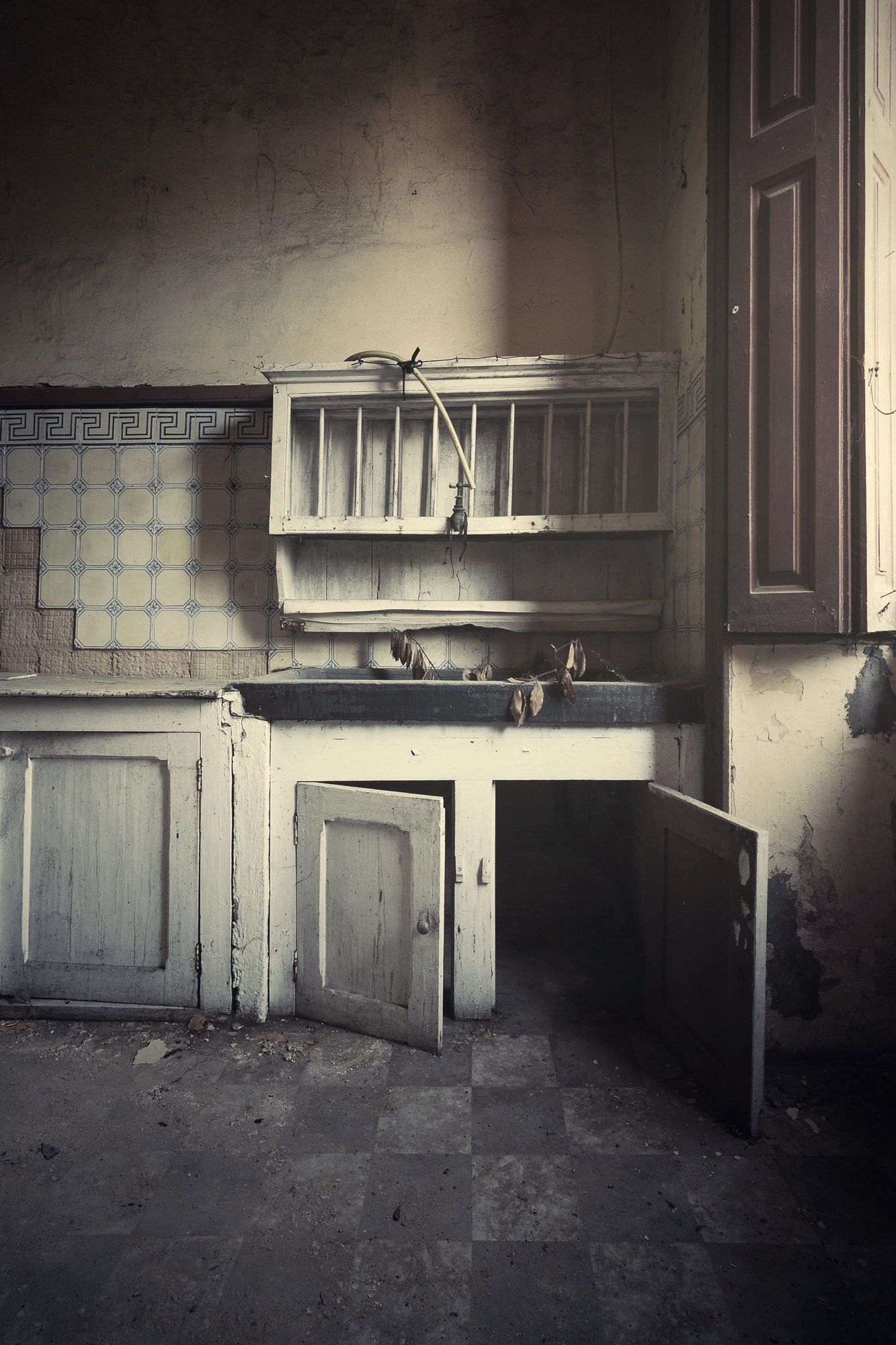 Canon EF-S 10-18mm F4.5–5.6 IS STM sample photo. There's ants in the kitchen photography