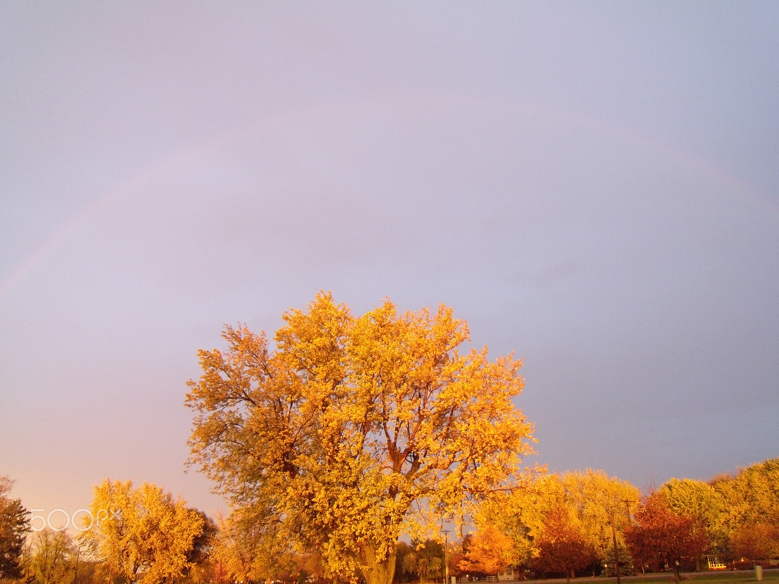 Nikon Coolpix S710 sample photo. Fall-bow.jpg photography