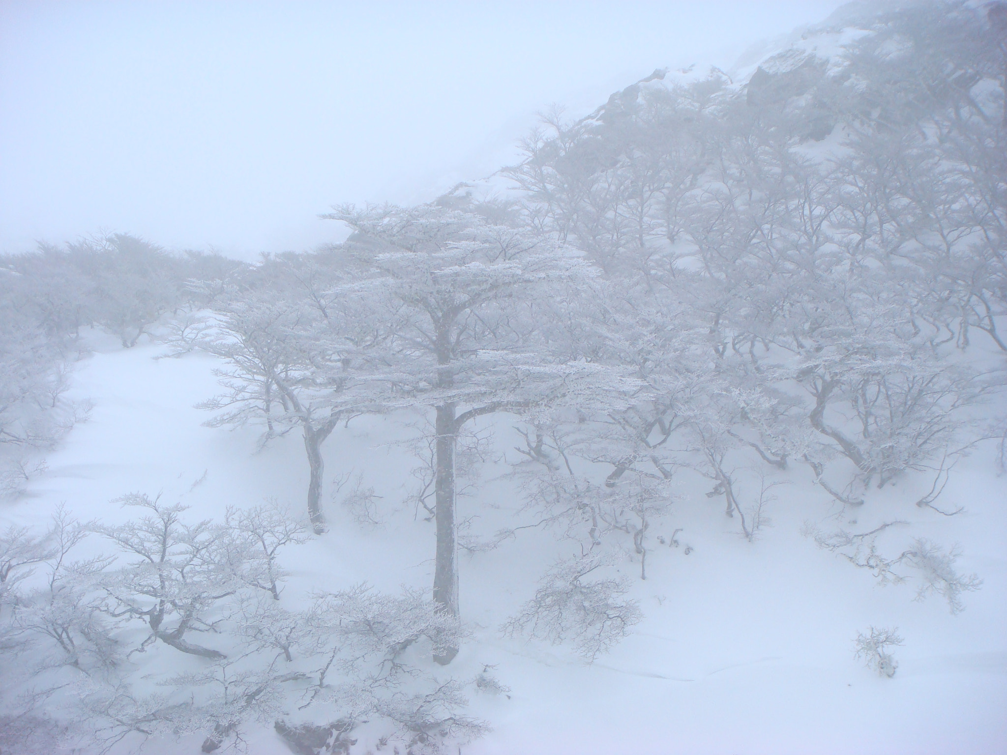 Sony DSC-T100 sample photo. Tempesta () photography