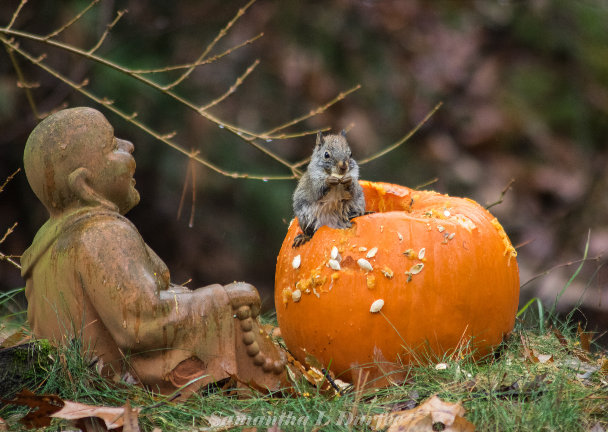 Pentax K-3 sample photo. Eating with buddha photography