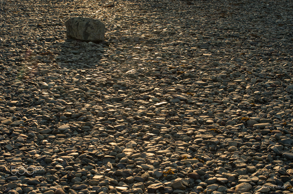 Pentax smc DA* 50-135mm F2.8 ED (IF) SDM sample photo. Don't be afraid to stand out photography