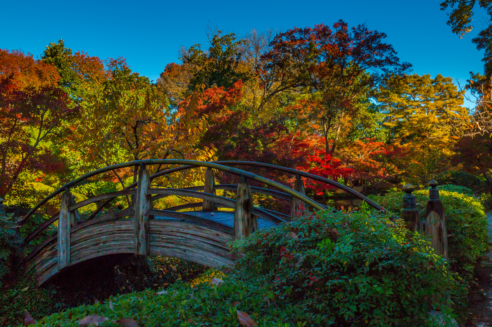 Canon EF 20mm F2.8 USM sample photo. Garden bridge photography