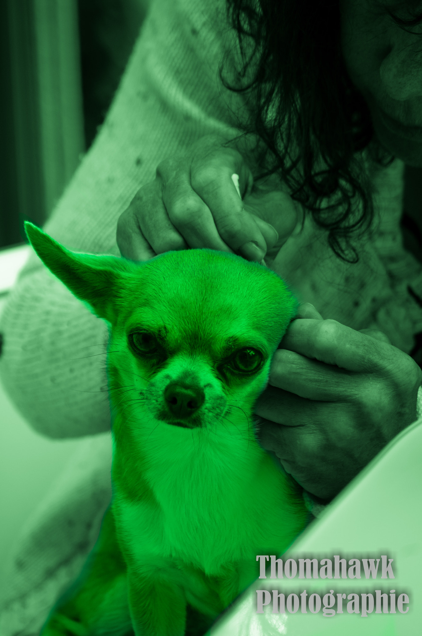 Pentax smc DA 55-300mm F4.0-5.8 ED sample photo. Yoda master is being toileted photography
