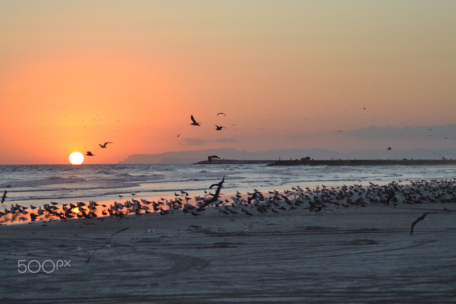Nikon AF Nikkor 70-300mm F4-5.6G sample photo. A soothing sunset ! photography