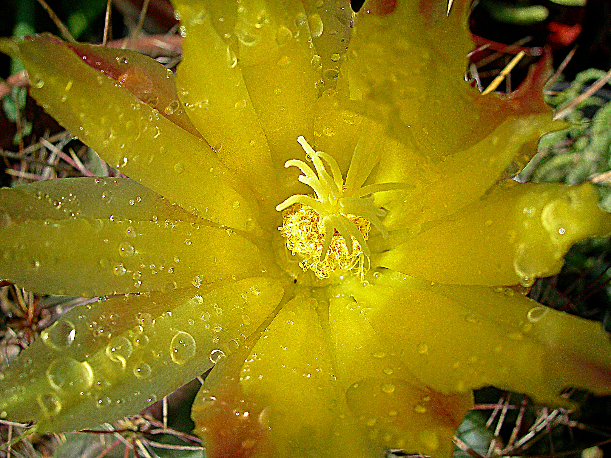 Nikon E7600 sample photo. ... photography