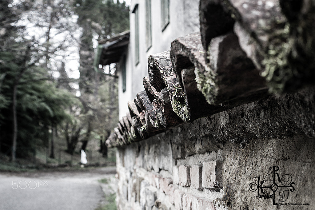 Canon EF 35-70mm f/3.5-4.5A sample photo. Shingles photography