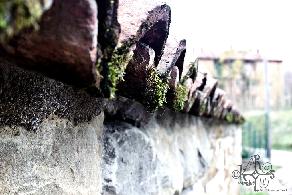 Canon EF 35-70mm f/3.5-4.5A sample photo. Shingles photography