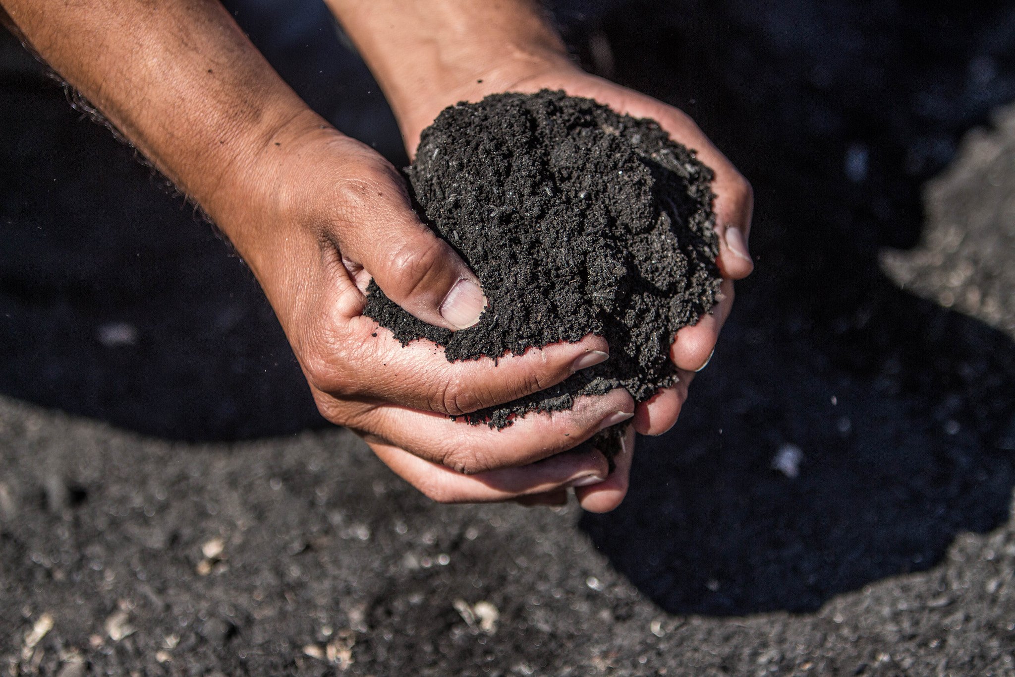 Canon EF 70-200mm F2.8L IS USM sample photo. Soil in hands photography