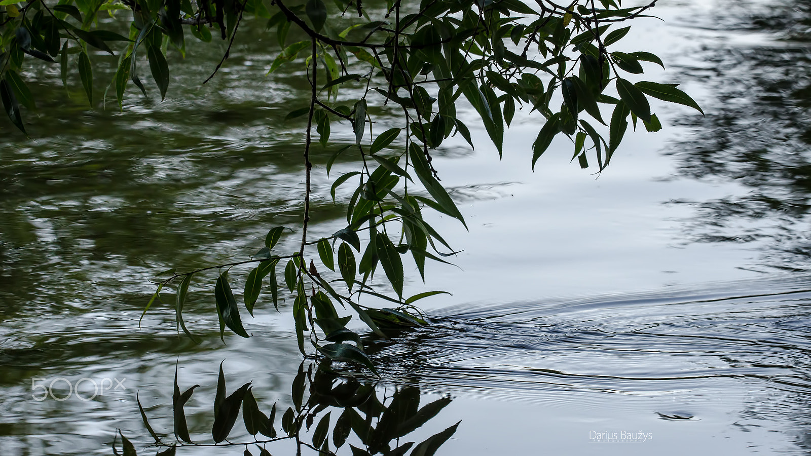Sigma 150mm F2.8 EX DG OS Macro HSM sample photo. Current .. photography