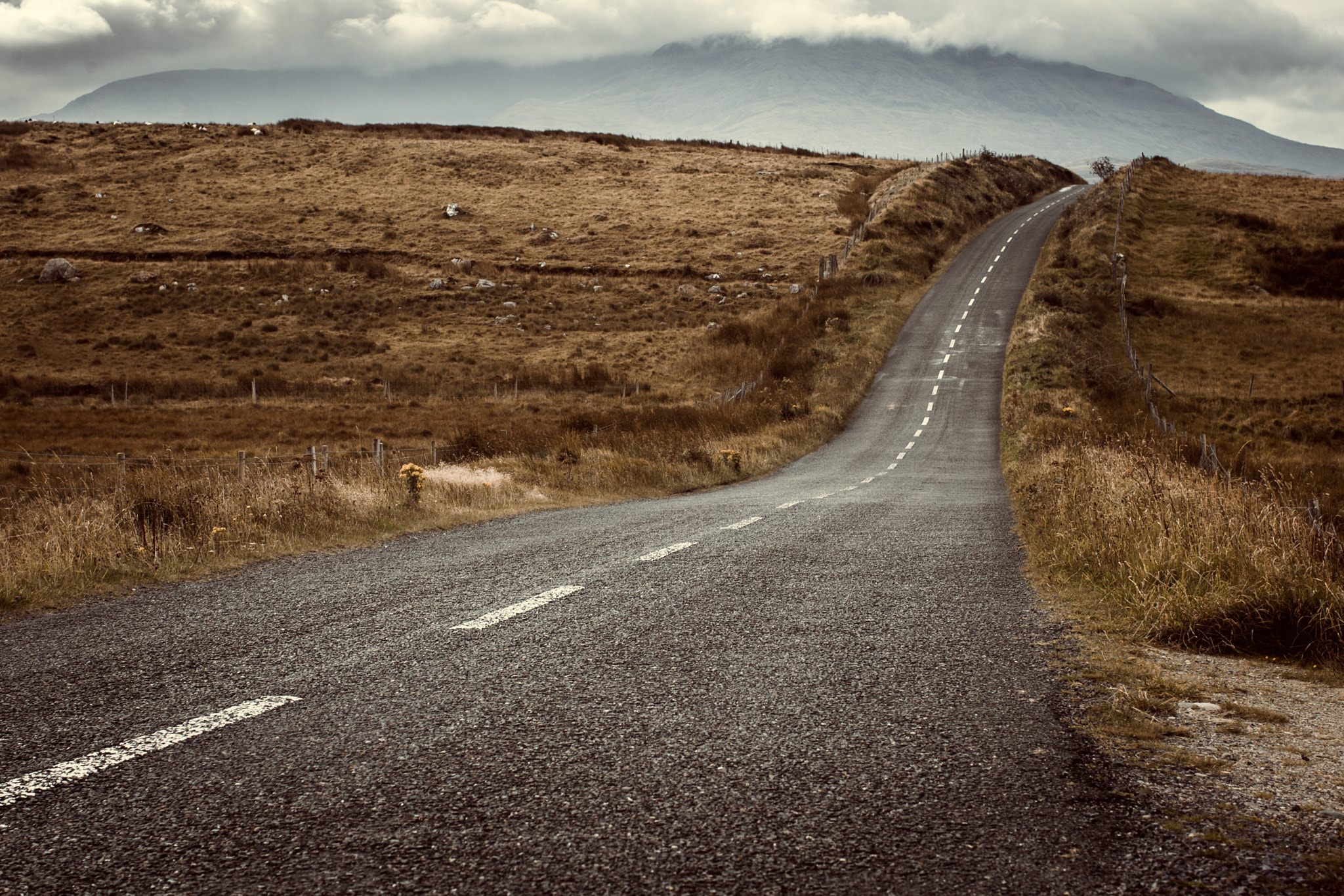 Canon EOS-1D Mark III sample photo. The road photography