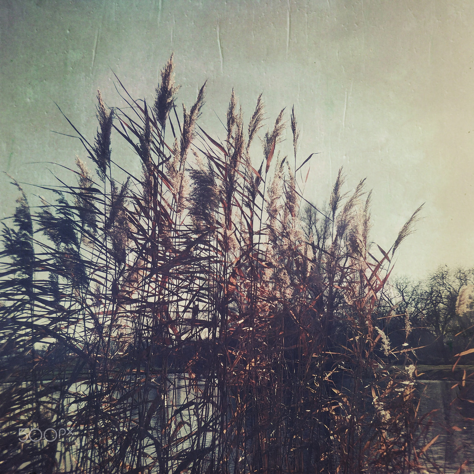 Hipstamatic 304 sample photo. Tears in heaven photography