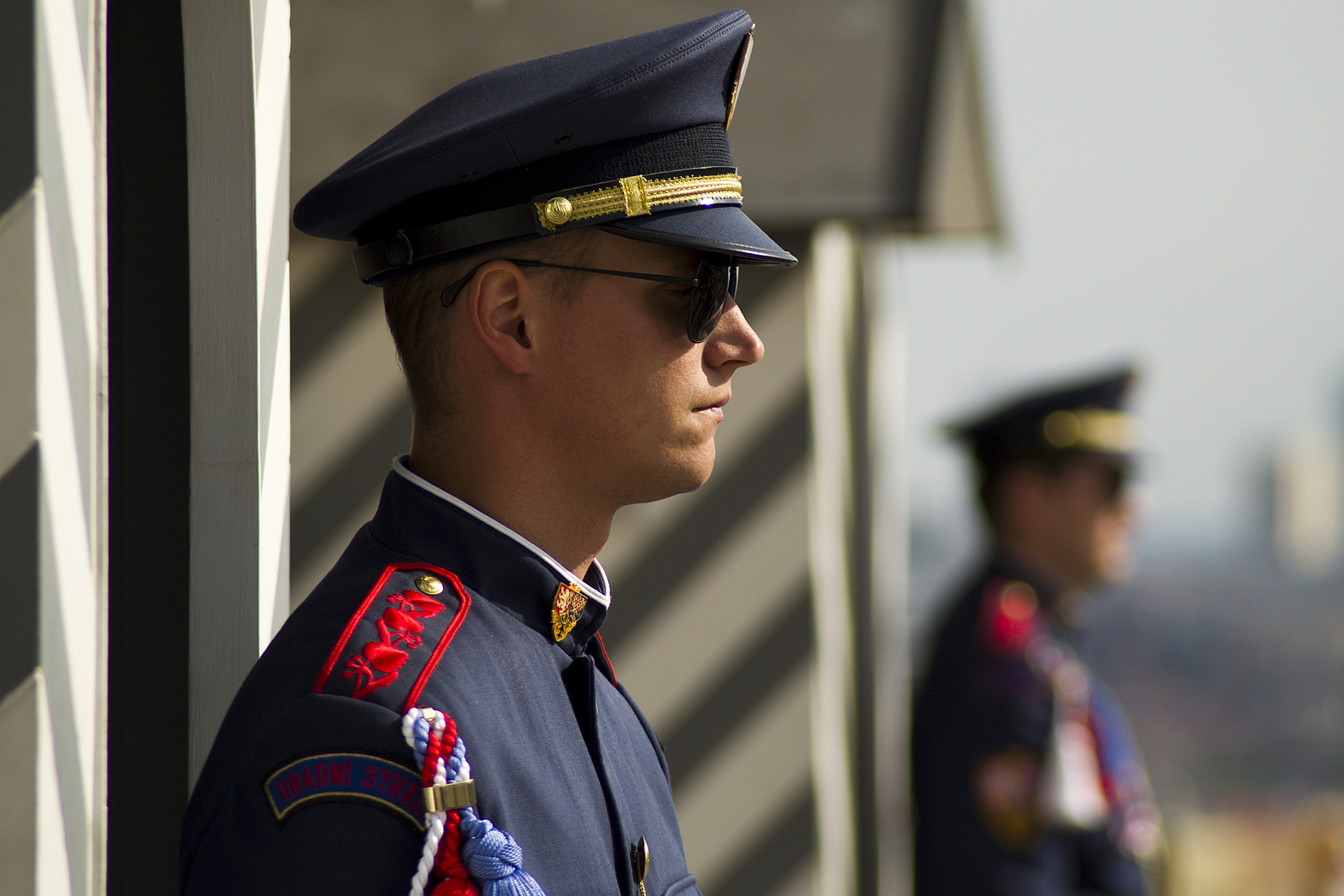 70.00 - 300.00 mm f/4.0 - 5.6 sample photo. Guard photography