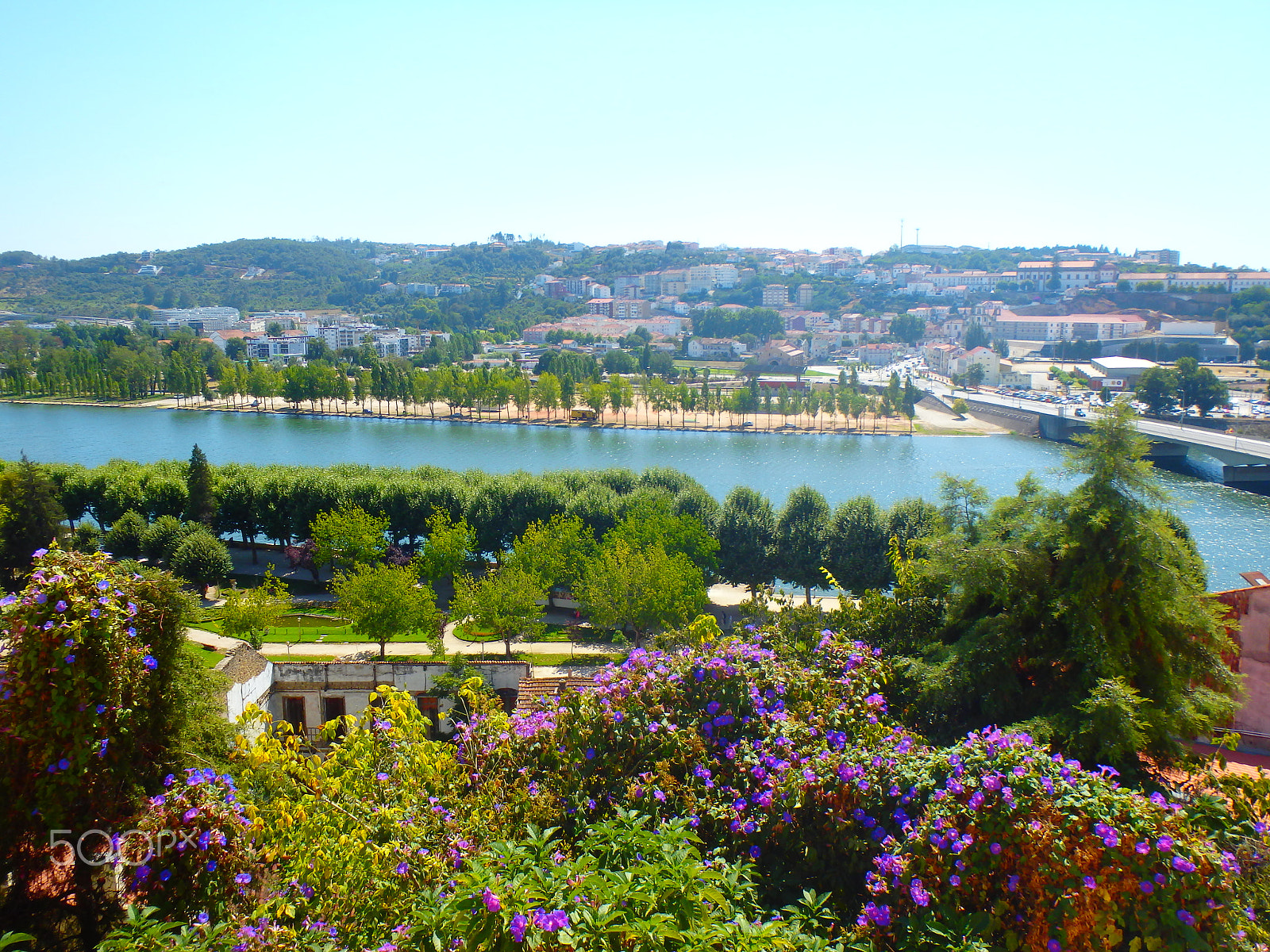 Olympus TG-830 sample photo. Coimbra in green photography