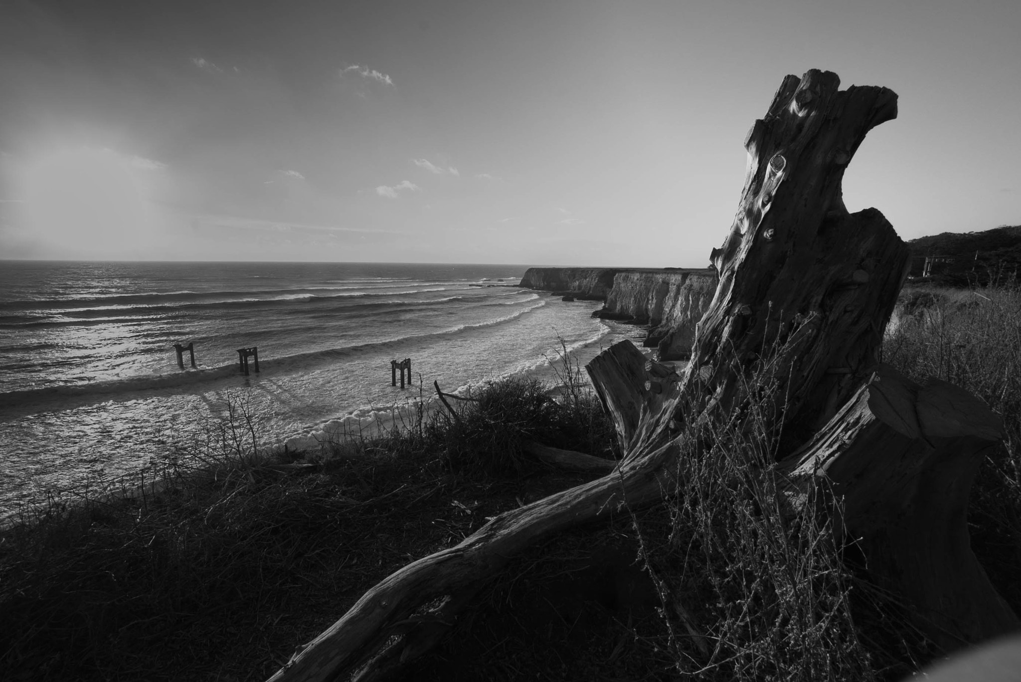 Sony a7S + Sony E 10-18mm F4 OSS sample photo. Lonely trunk photography