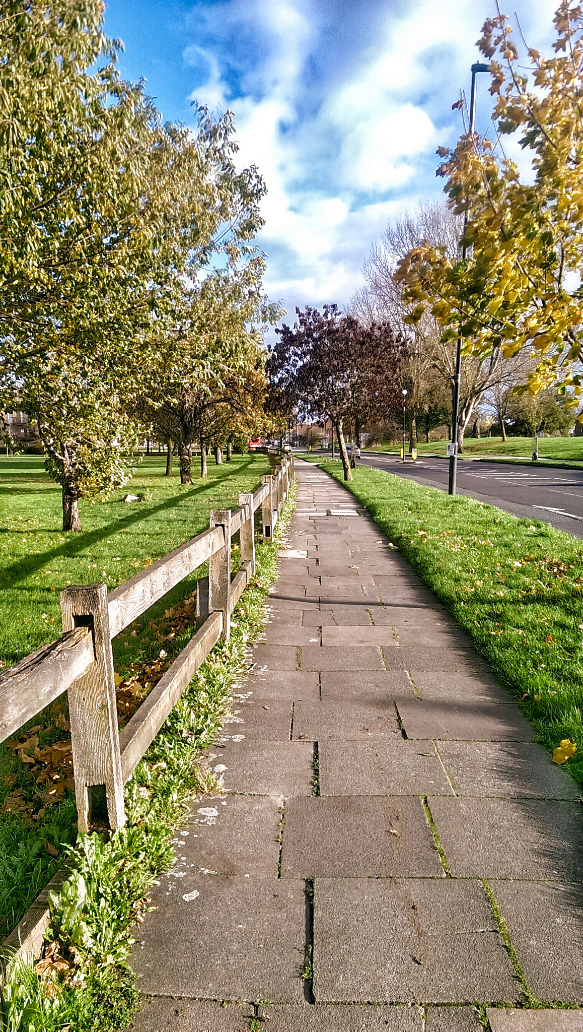 HTC ONE MINI sample photo. 1 photography