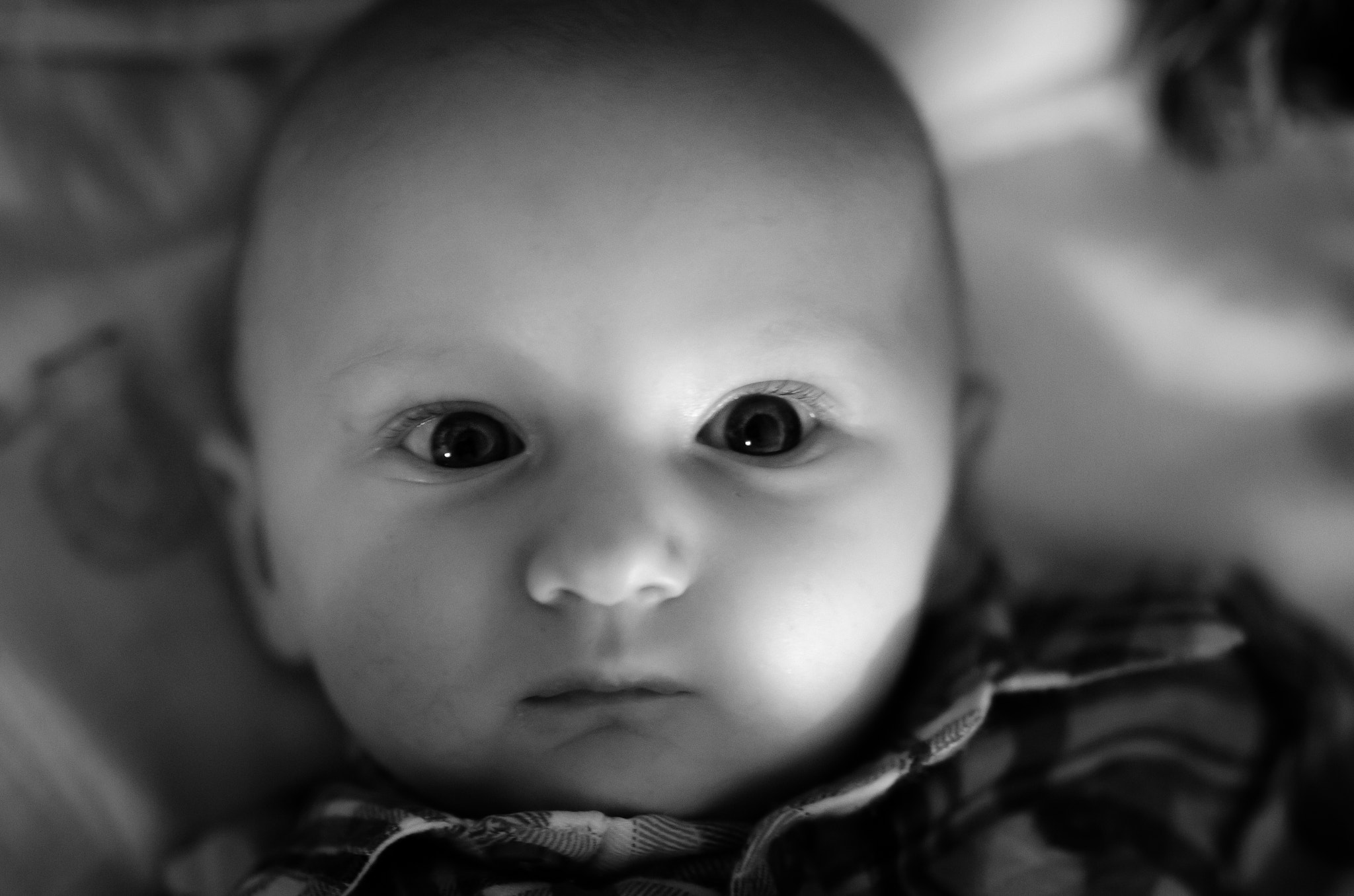 Nikon D7000 + Sigma 50mm F1.4 DG HSM Art sample photo. Look at those eyes photography