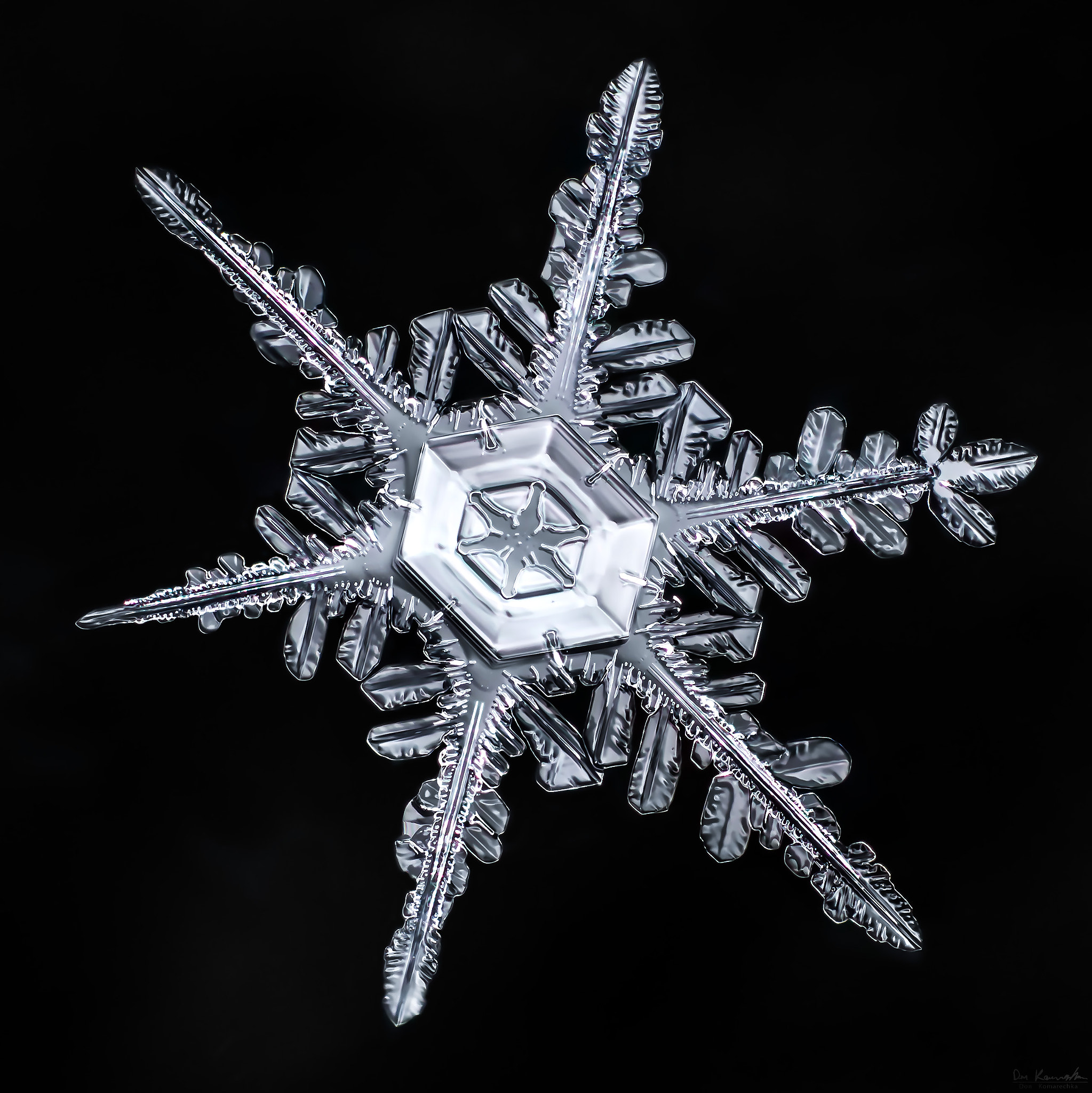 Canon MP-E 65mm F2.5 1-5x Macro Photo sample photo. Snowflake-a-day #3 photography