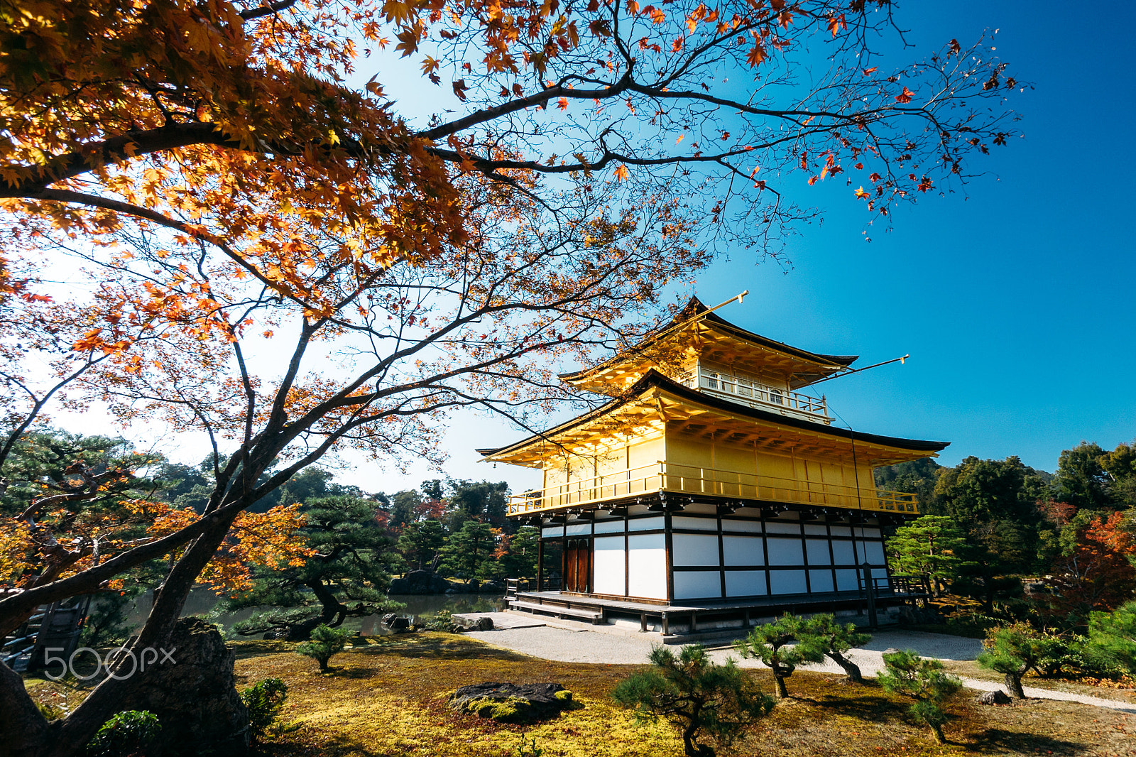 Sony a7 + Sony E 10-18mm F4 OSS sample photo. Kinkaku-ji scenic view in autumn photography