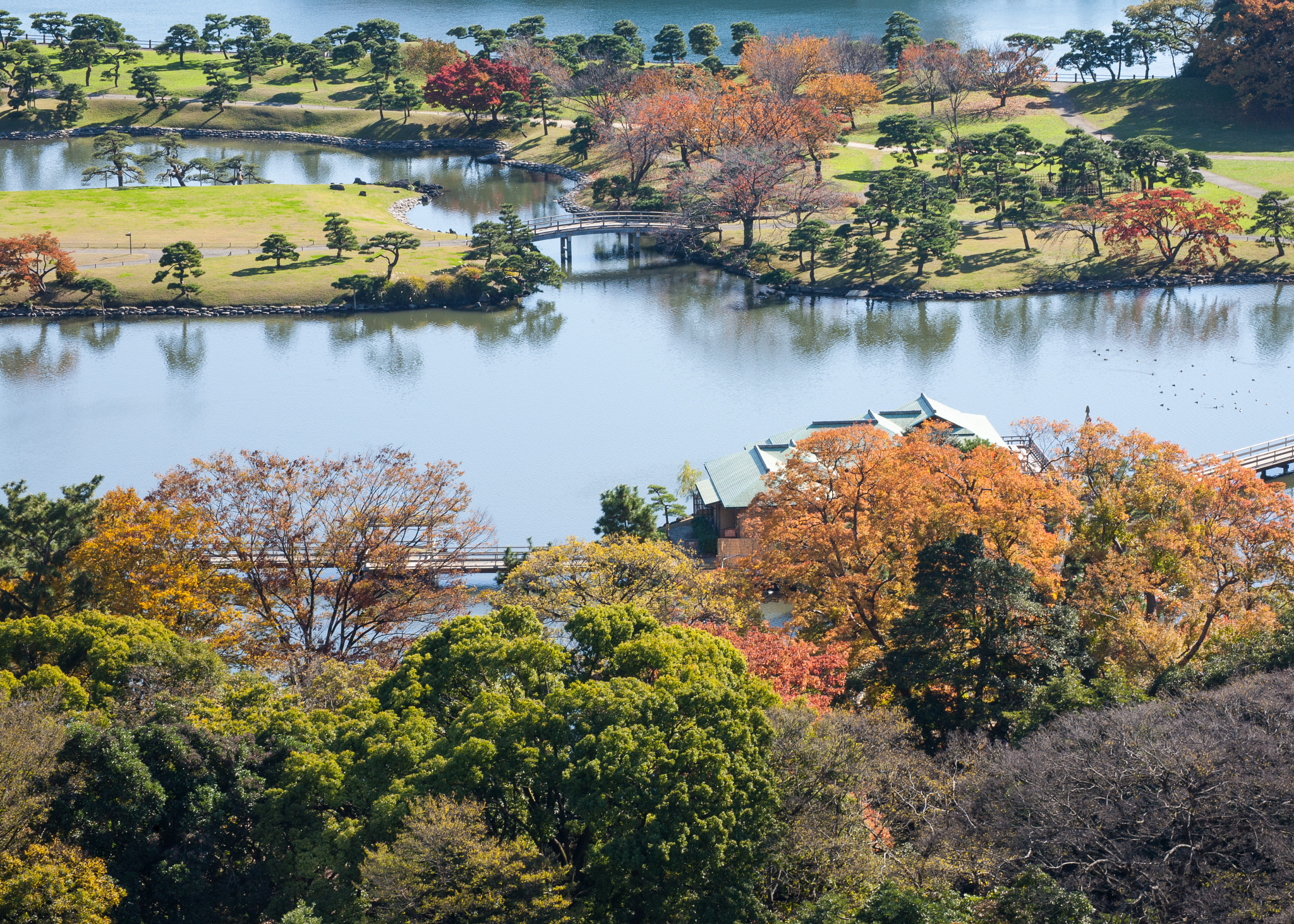 Tamron SP 35mm F1.8 Di VC USD sample photo. My dear hama detached palace photography