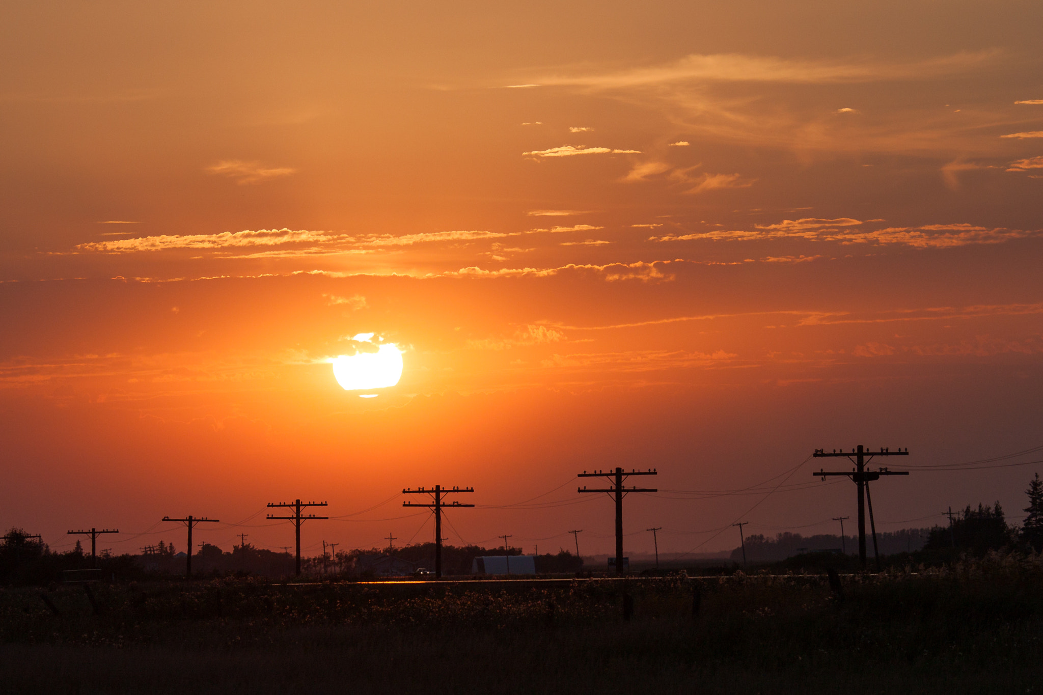 Canon EOS 500D (EOS Rebel T1i / EOS Kiss X3) sample photo. Silhouetted power lines at golden sunset photography