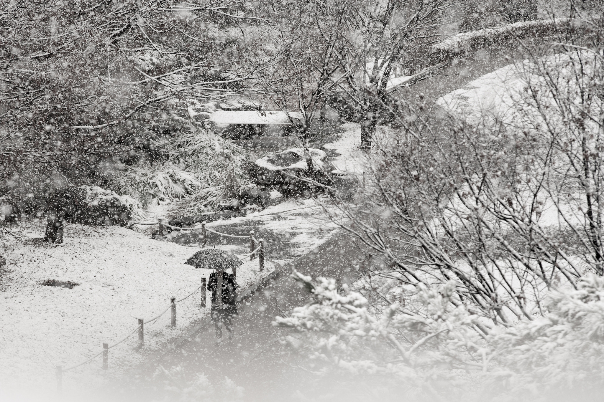 Canon EOS-1Ds Mark II sample photo. Snowy day photography