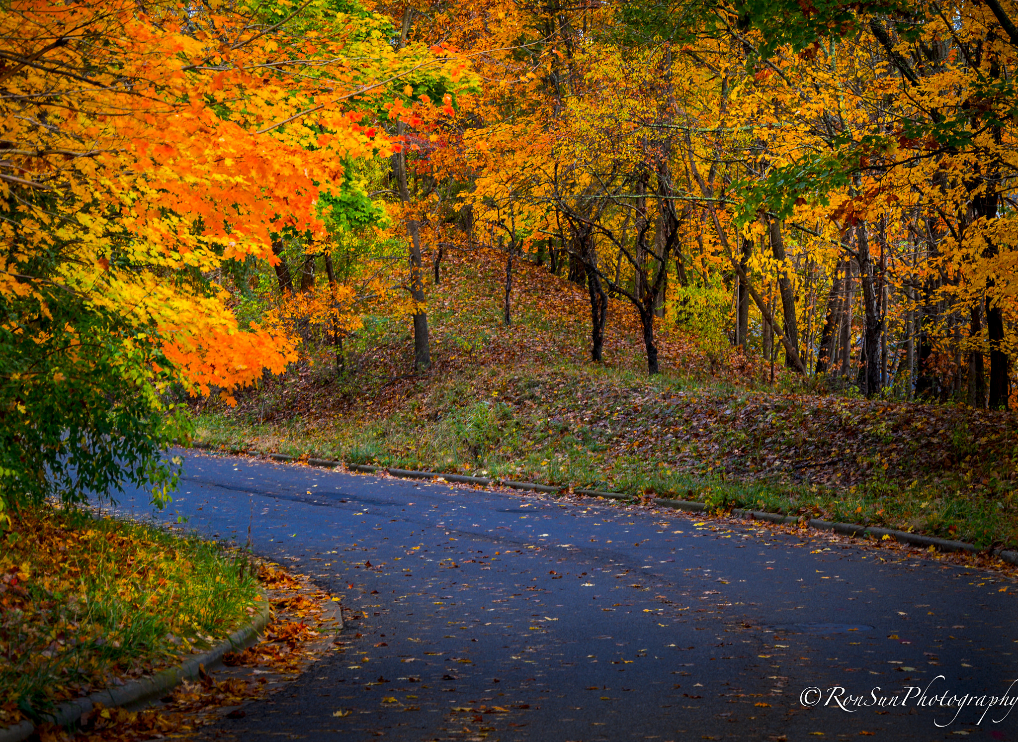 Olympus OM-D E-M5 sample photo. Autumn colors photography