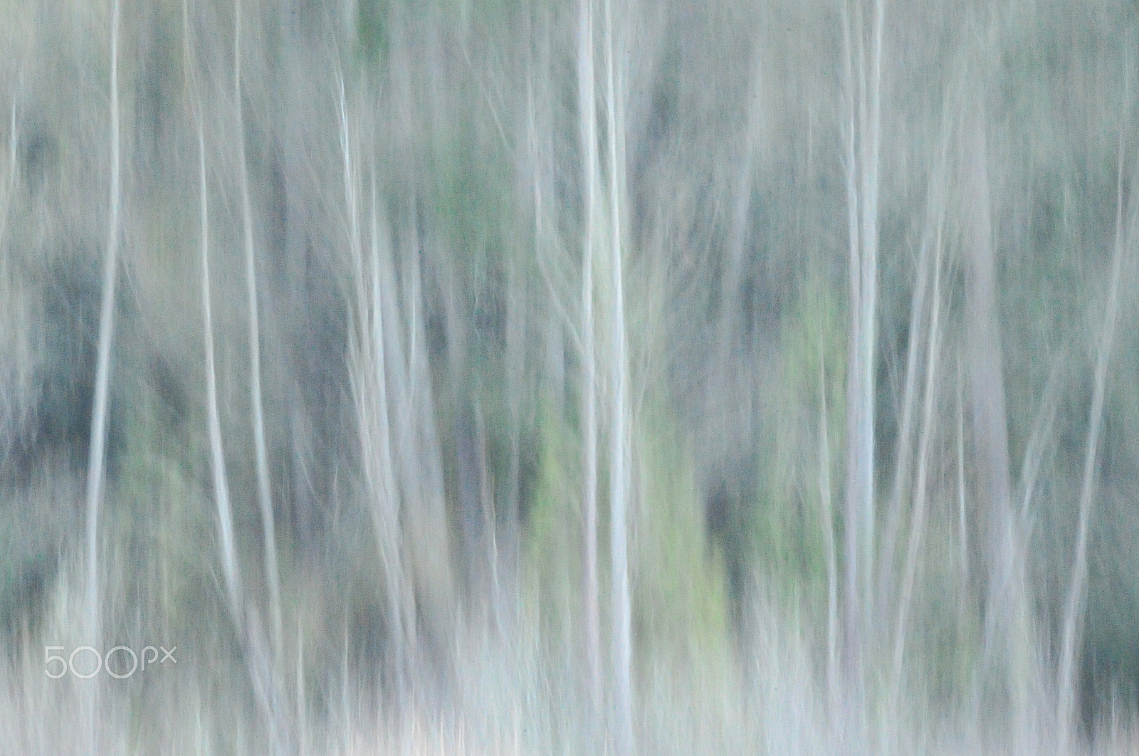 Nikon D3S + Sigma 150-600mm F5-6.3 DG OS HSM | S sample photo. Winter trees abstract photography